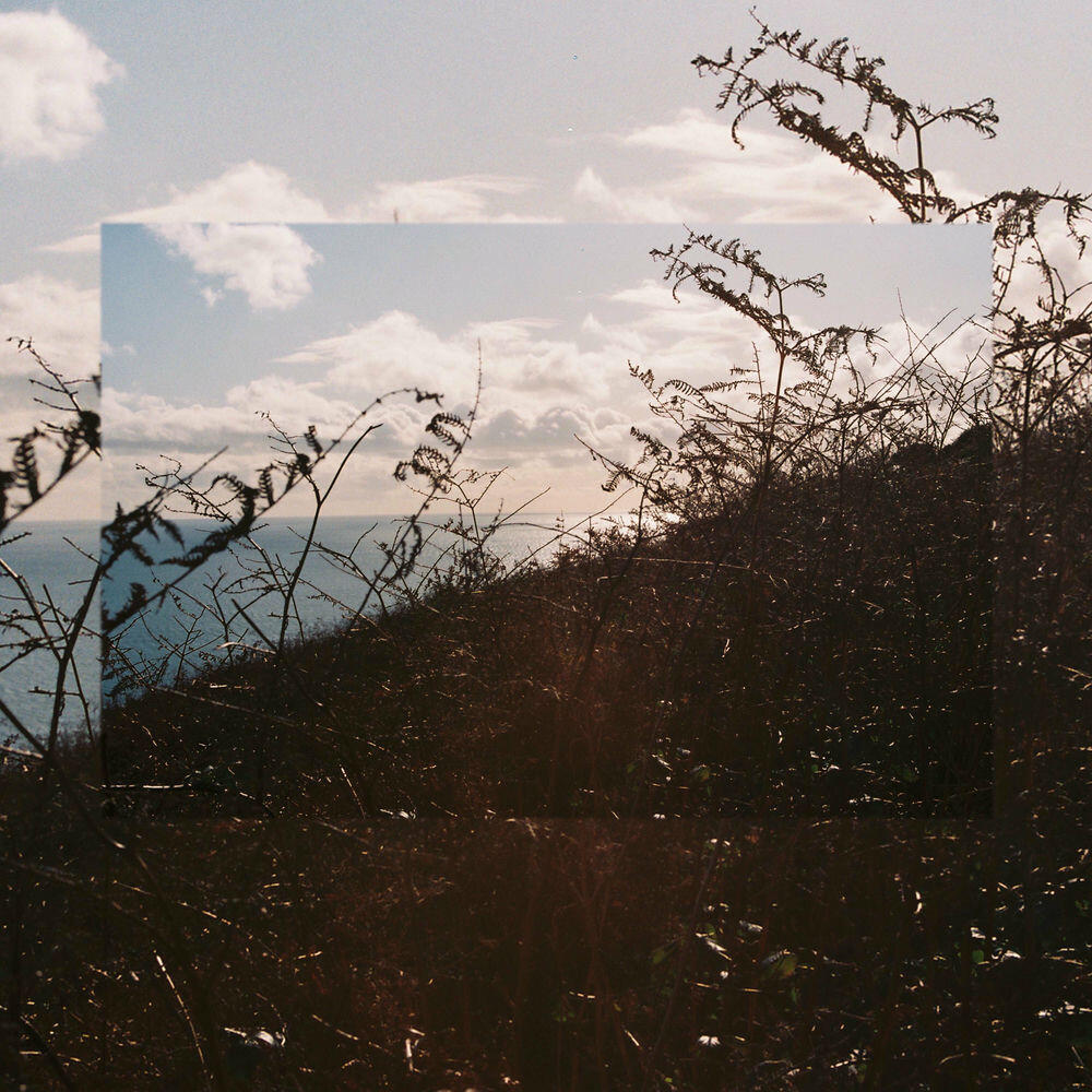 Релиз Wild Mountain Thyme
