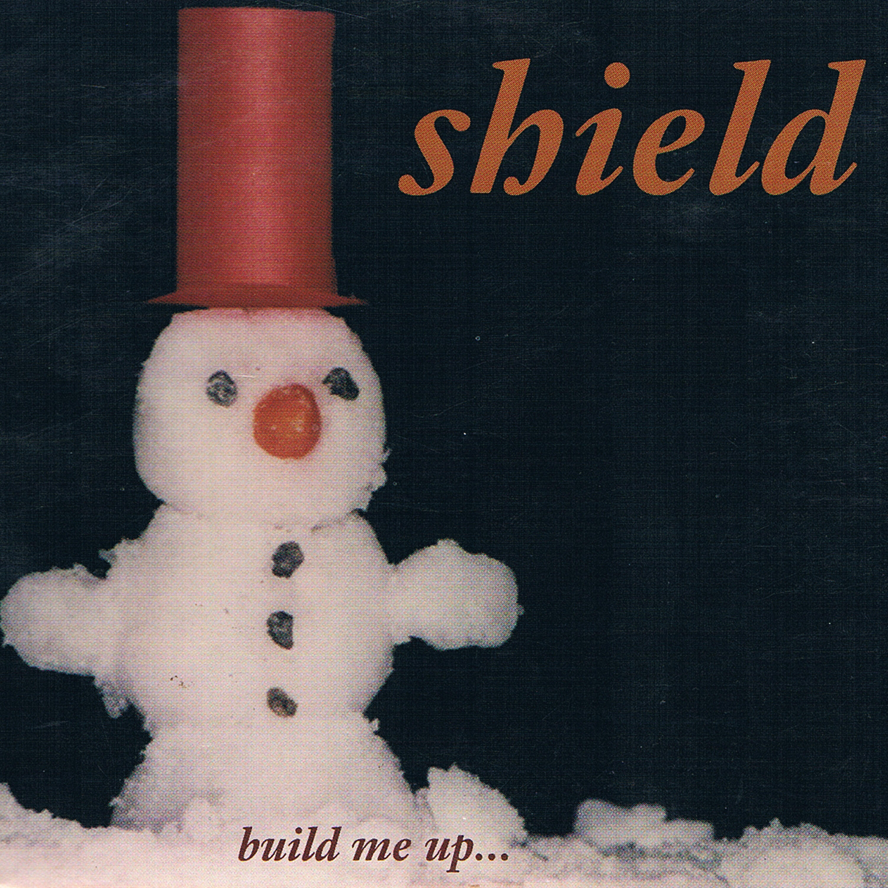 Релиз Build Me Up... Melt Me Down...