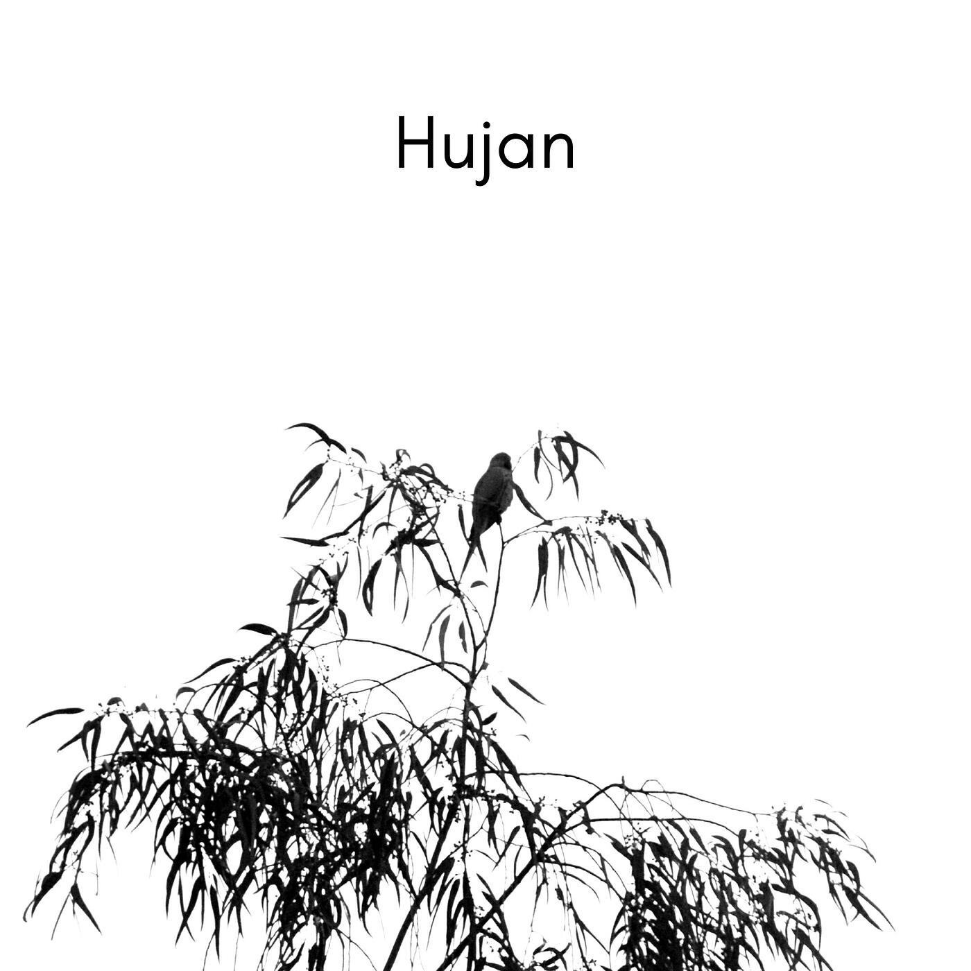 Релиз Hujan