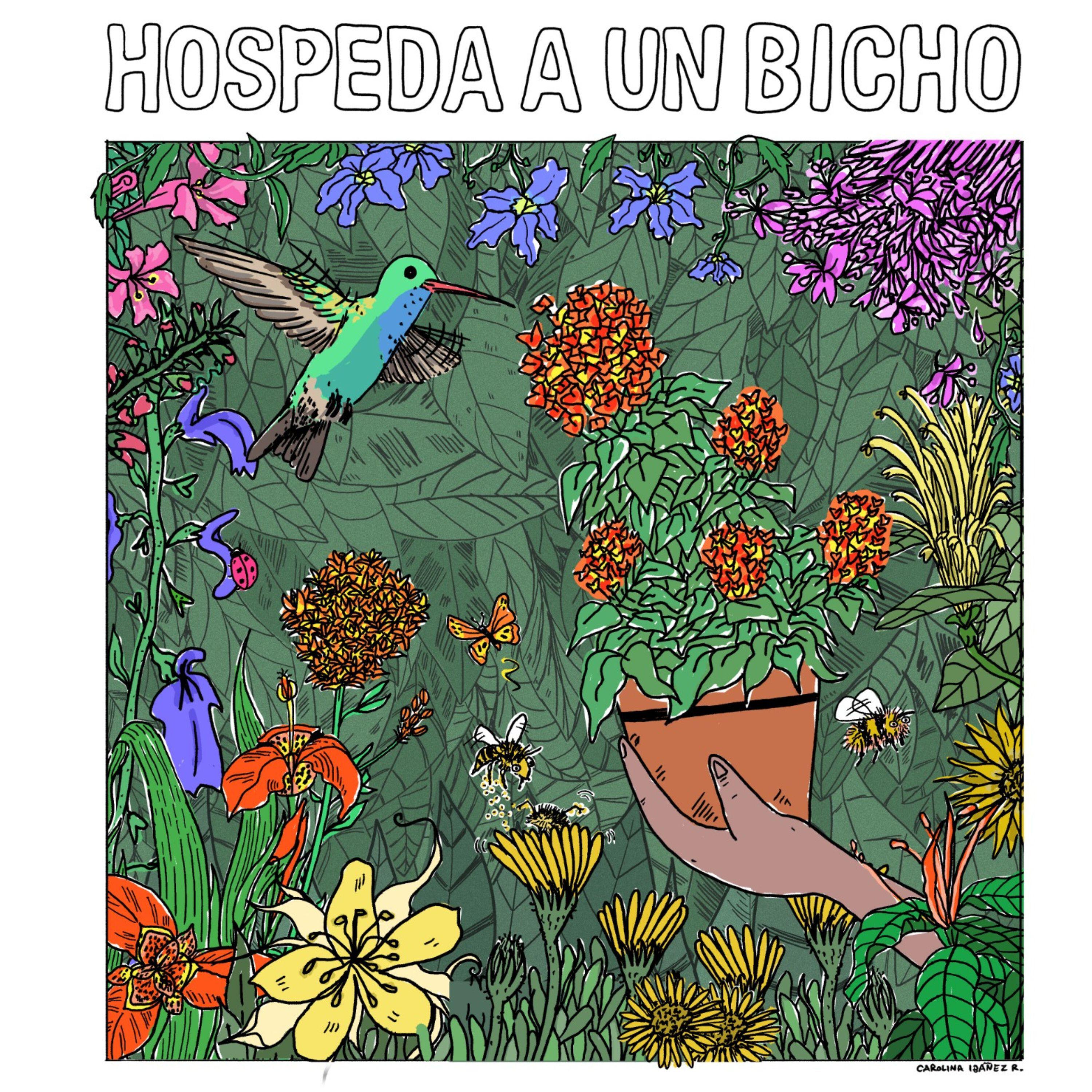 Релиз Hospeda a un bicho