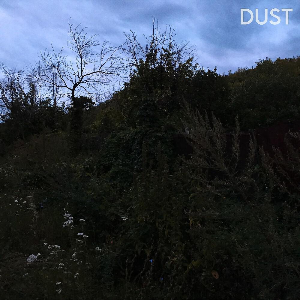 Постер альбома Dust