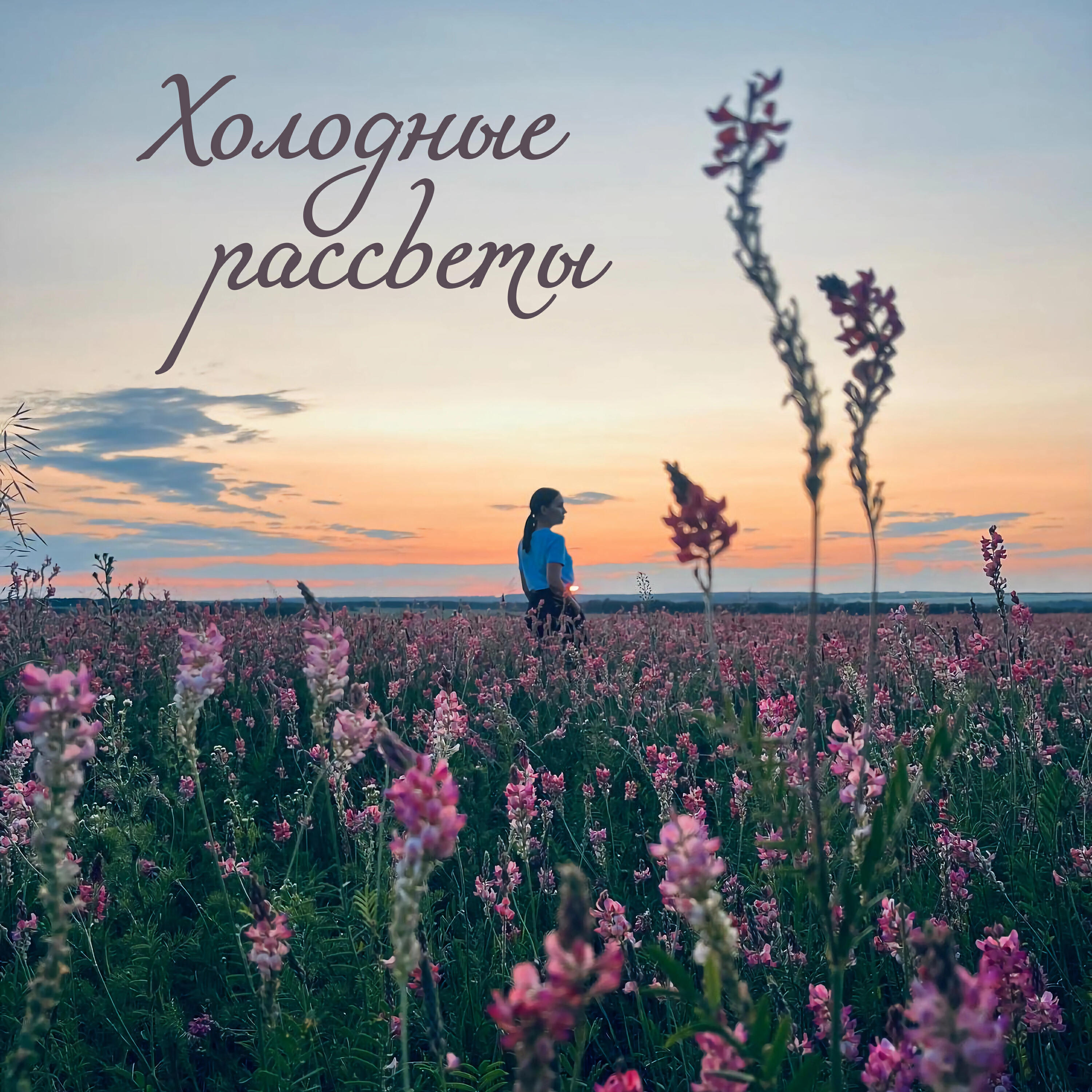 Релиз Холодные рассветы