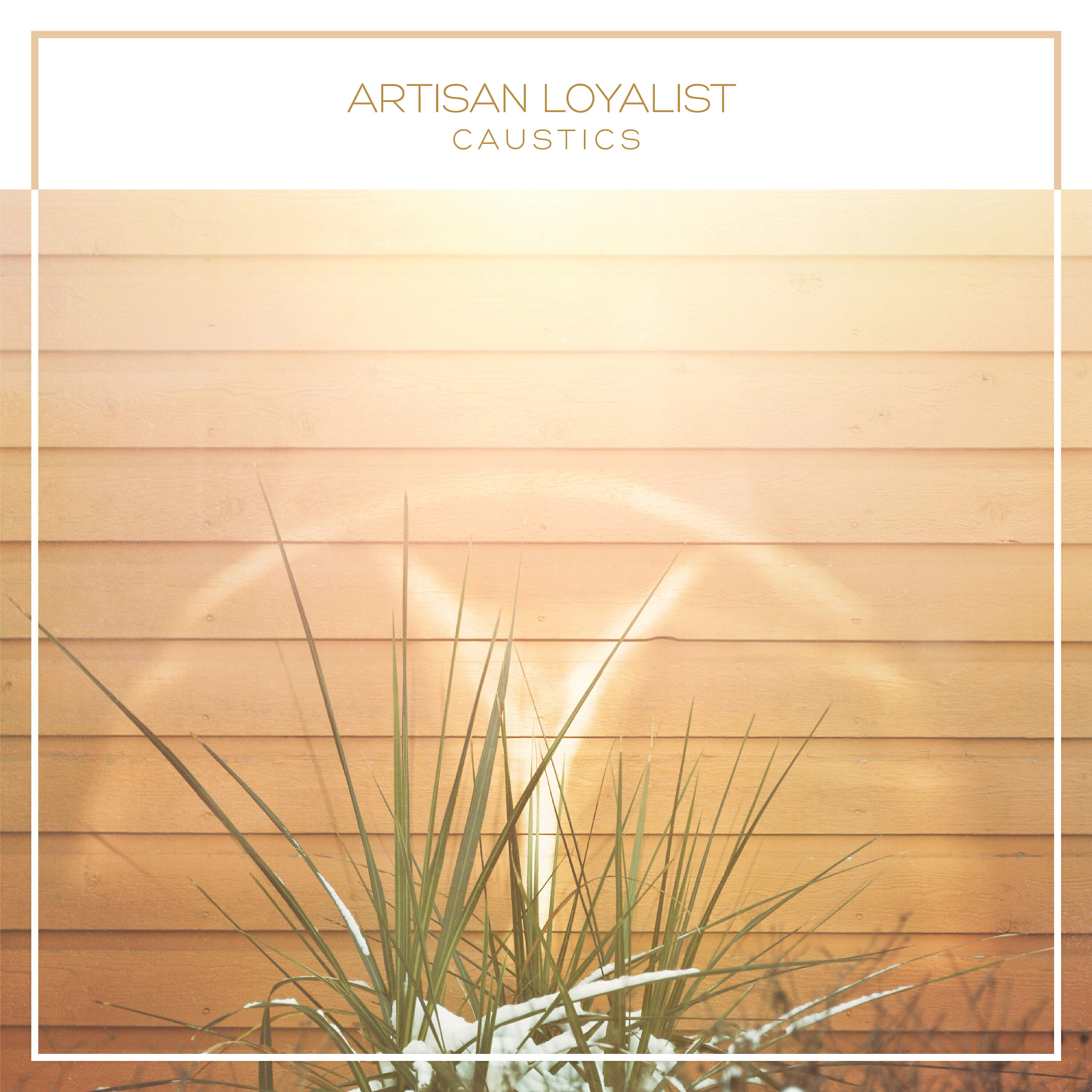 Artisan Loyalist