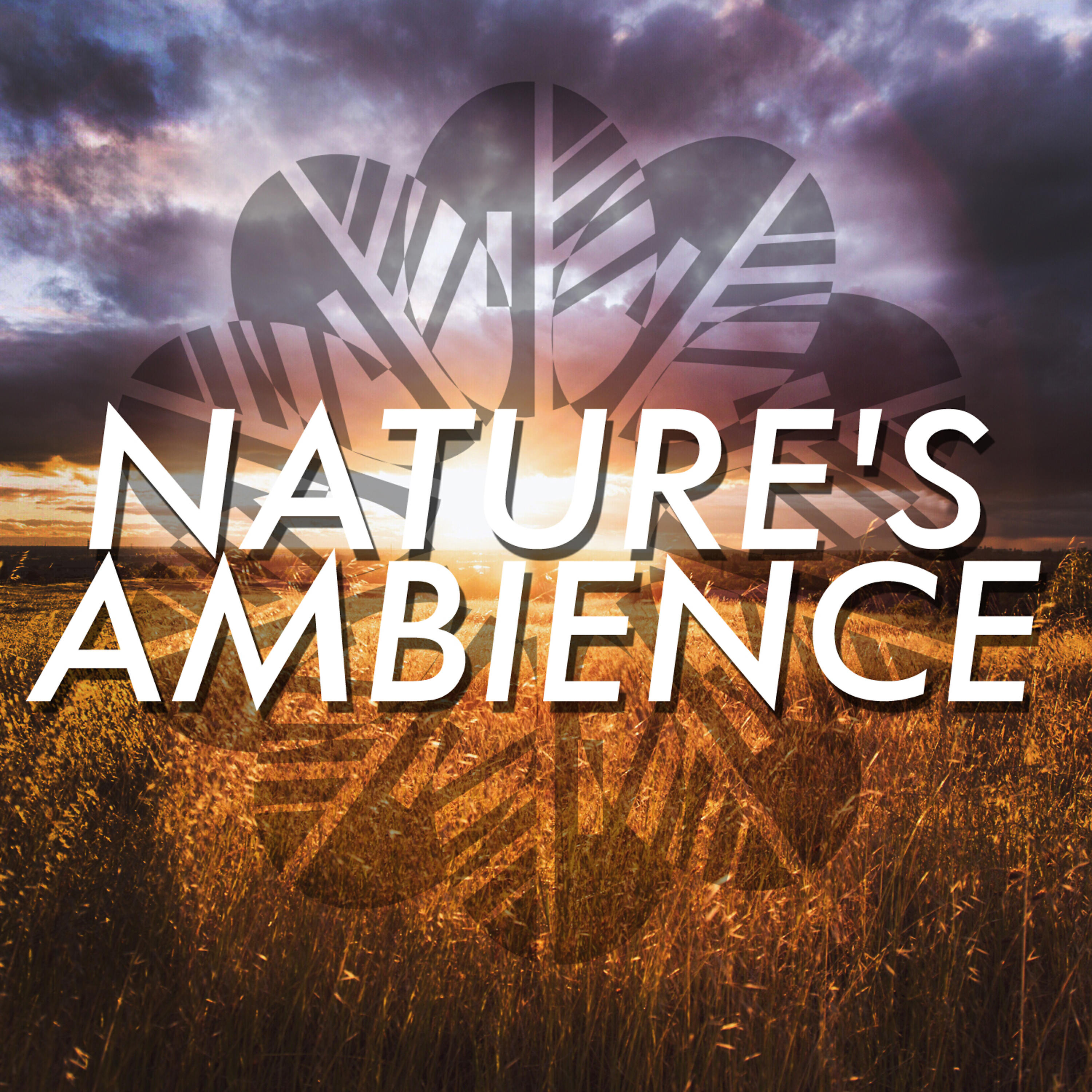 Релиз Nature's Ambience
