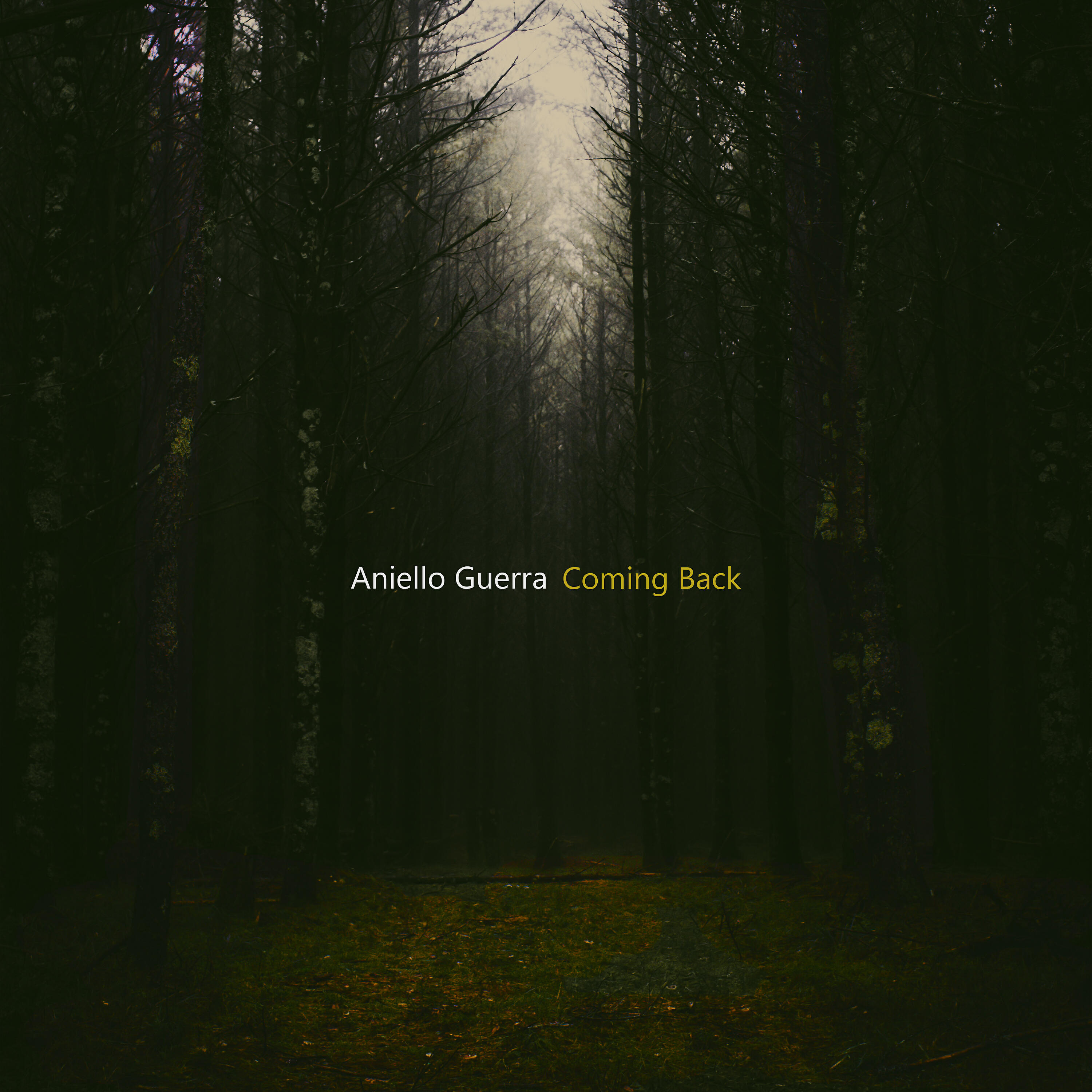 Релиз Coming Back