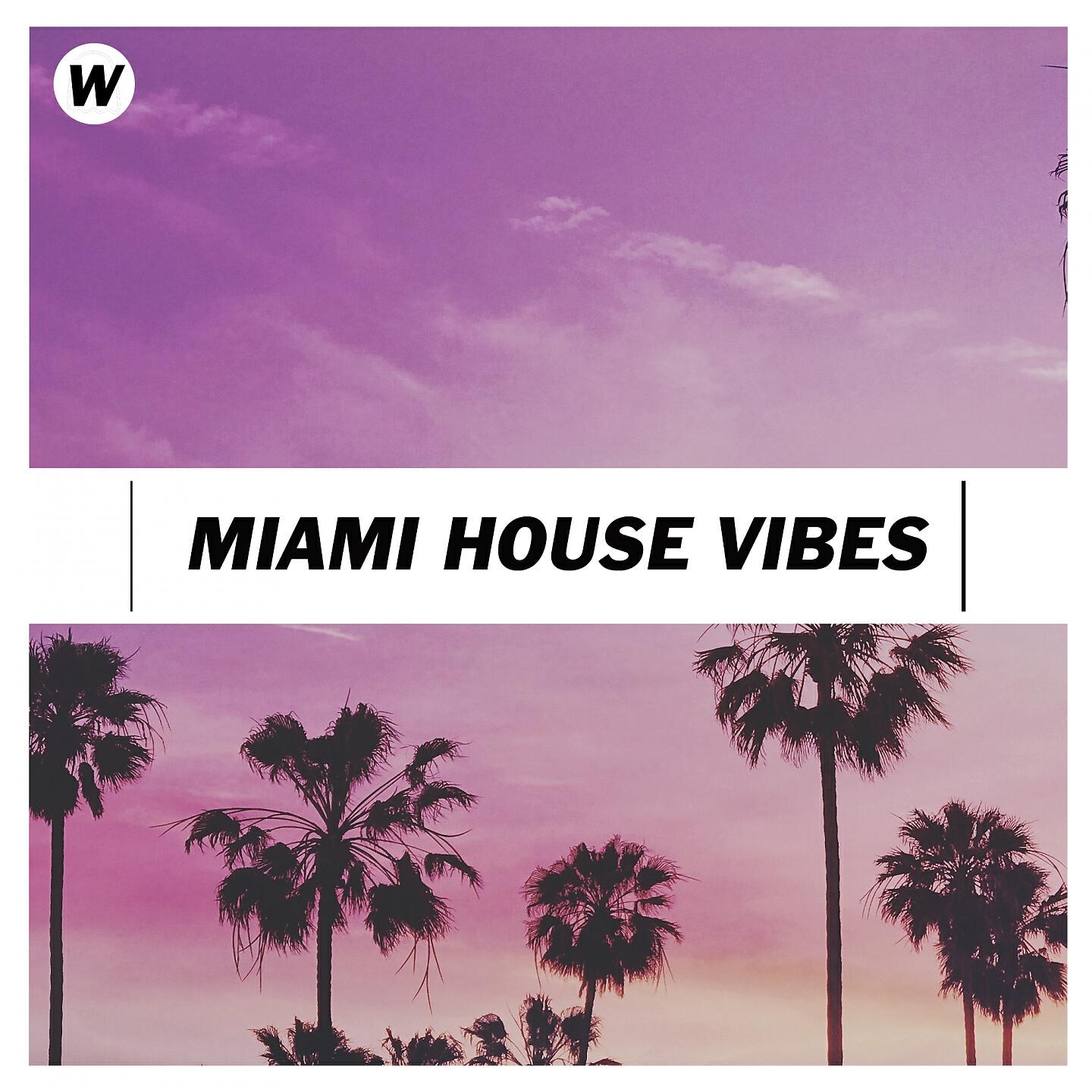 Релиз Miami House Vibes