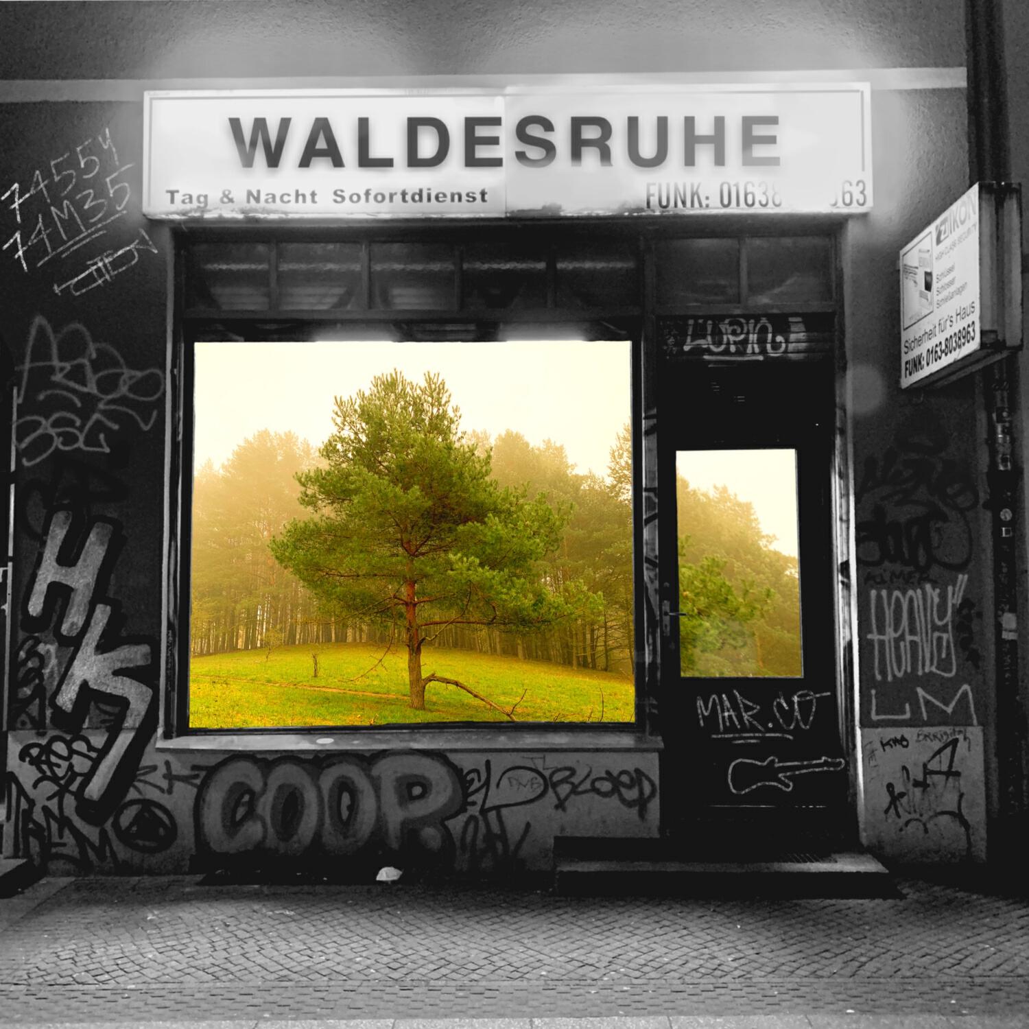 Релиз Waldesruhe