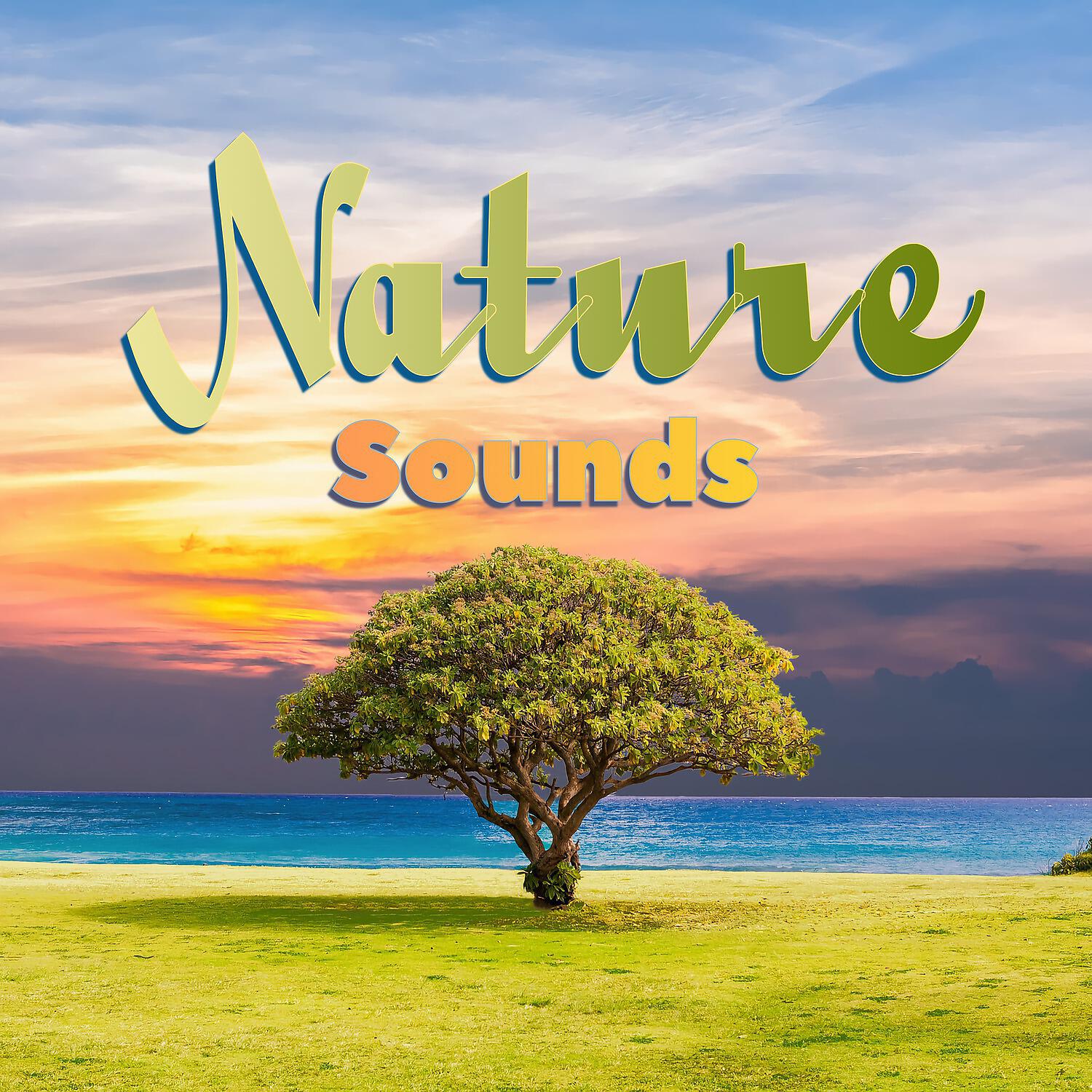 Релиз Nature Sounds