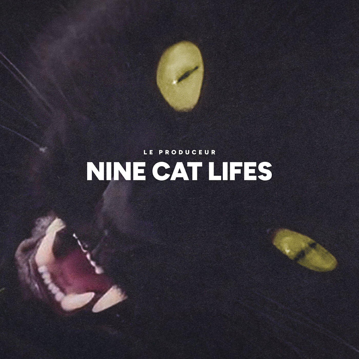 Релиз Nine Cat Lifes