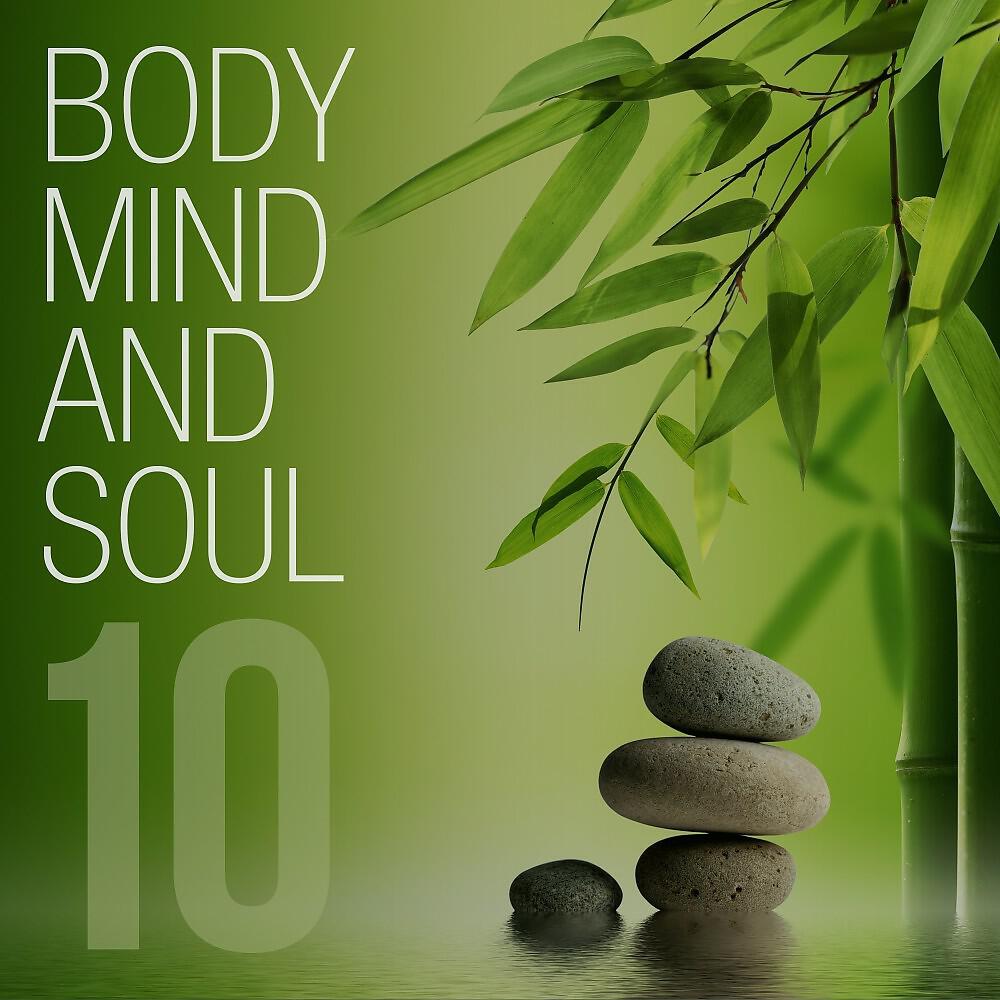 Релиз Body Mind and Soul, Vol. 10