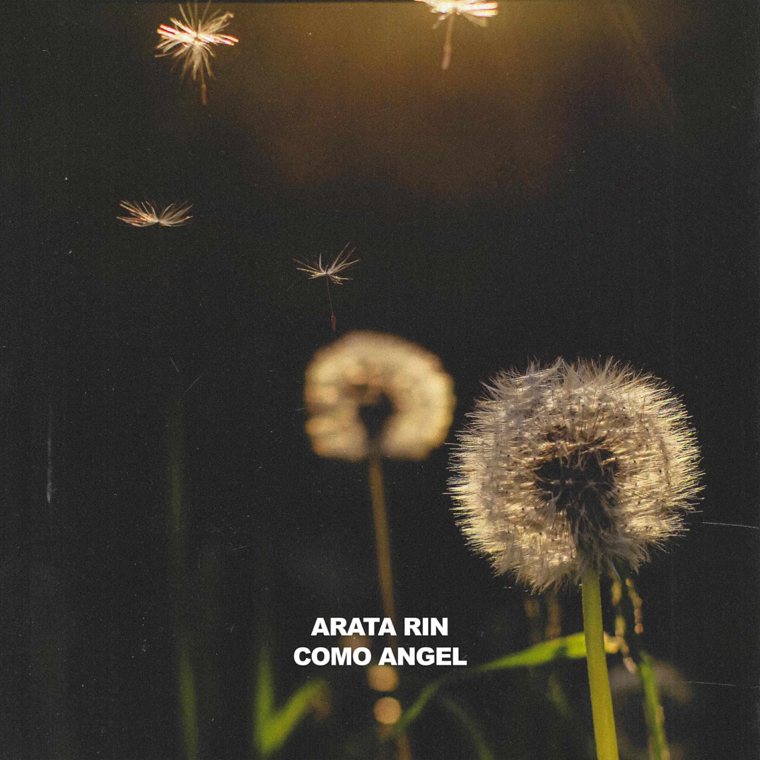 Релиз Como angel