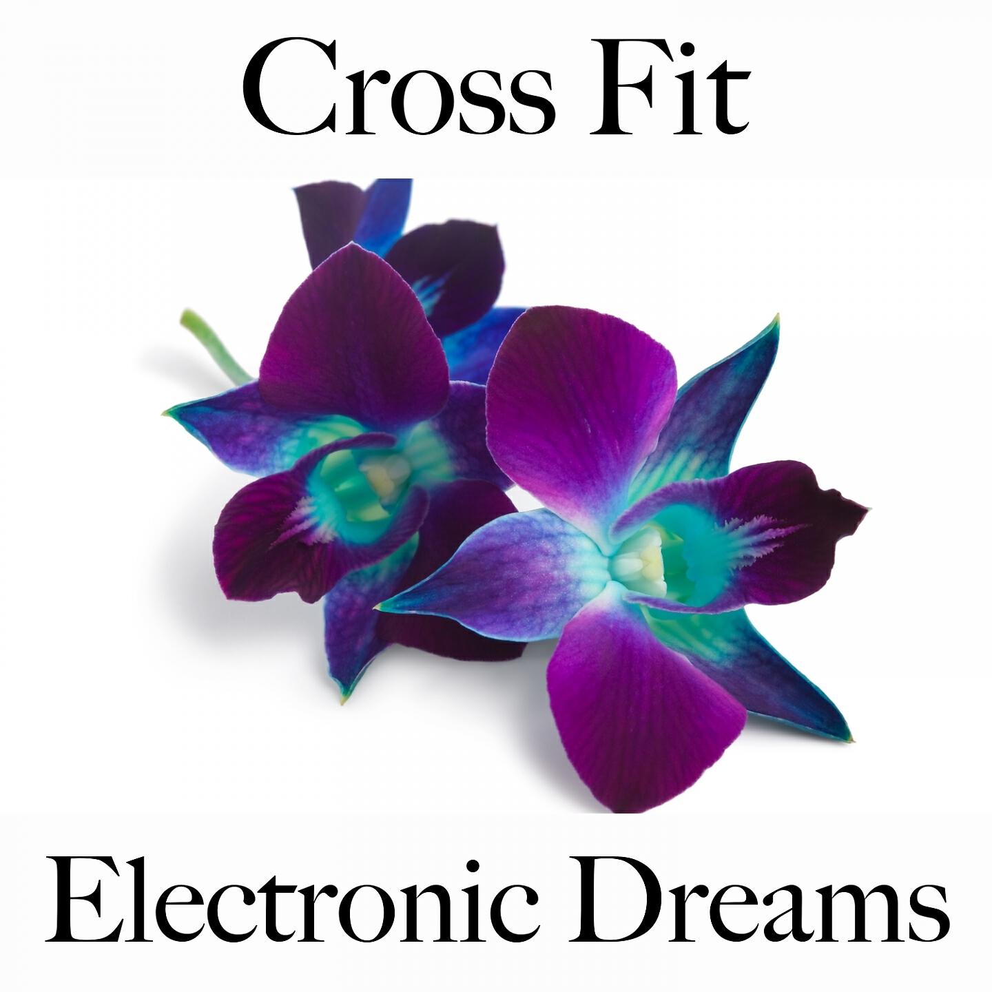 Релиз Cross Fit: Electronic Dreams - Les Meilleurs Sons Pour L'Entraînement