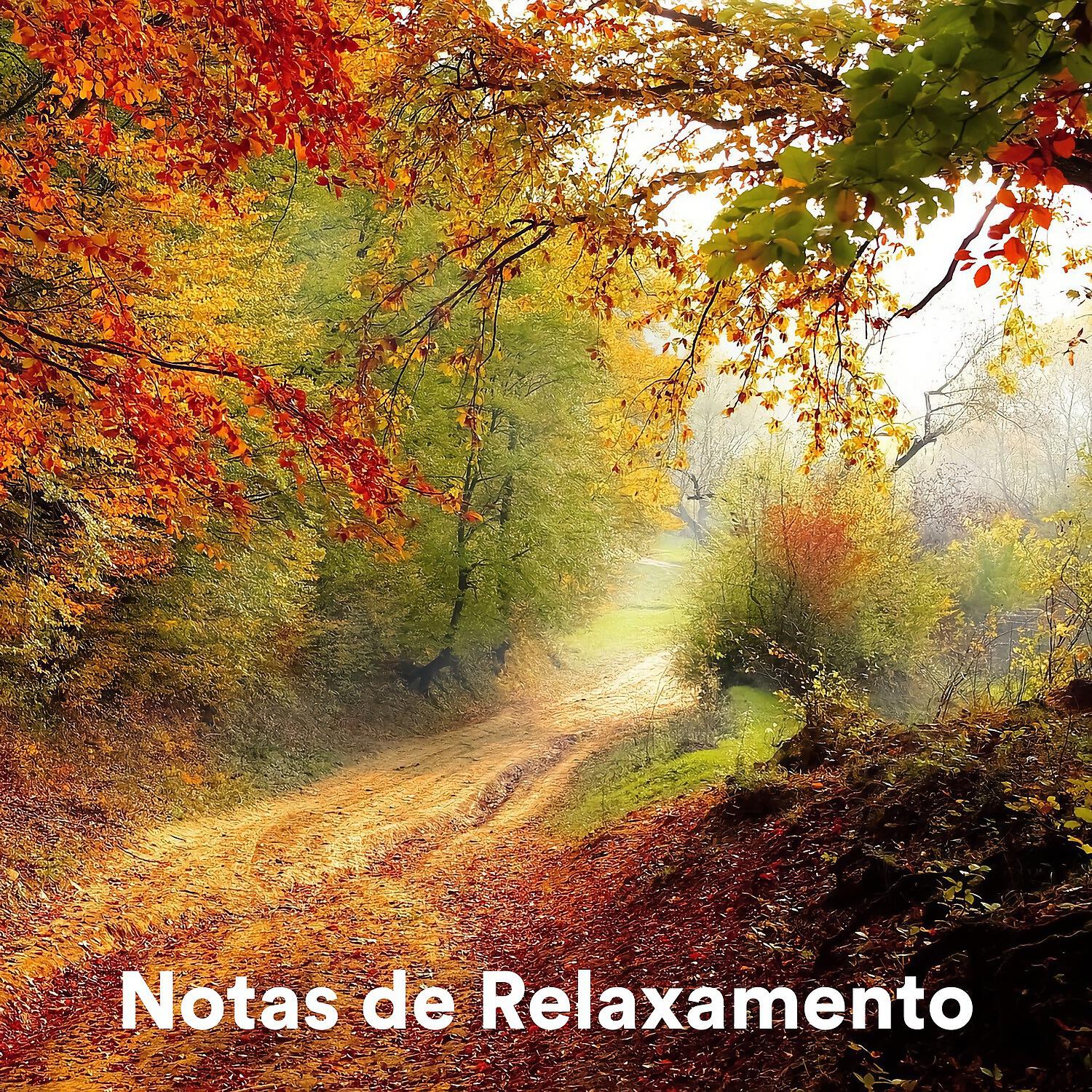 Релиз Notas de Relaxamento