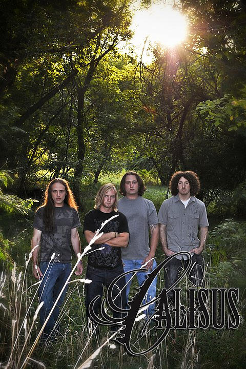 Calisus