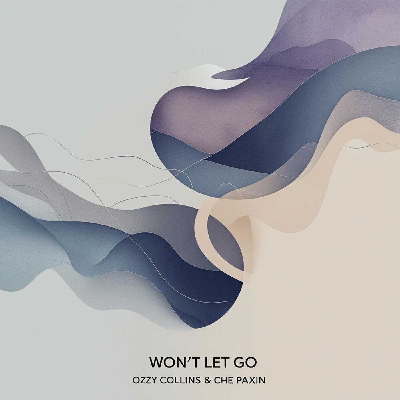Релиз Won't Let Go