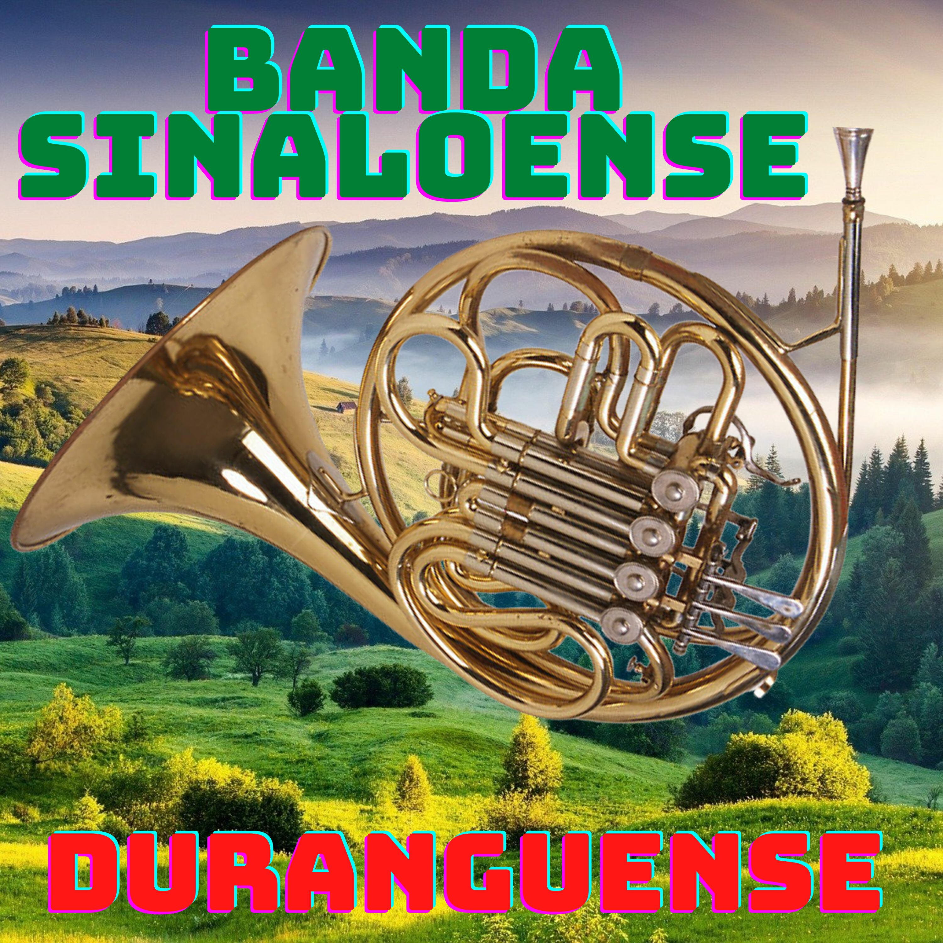 Релиз Banda Sinaloense, Duranguense