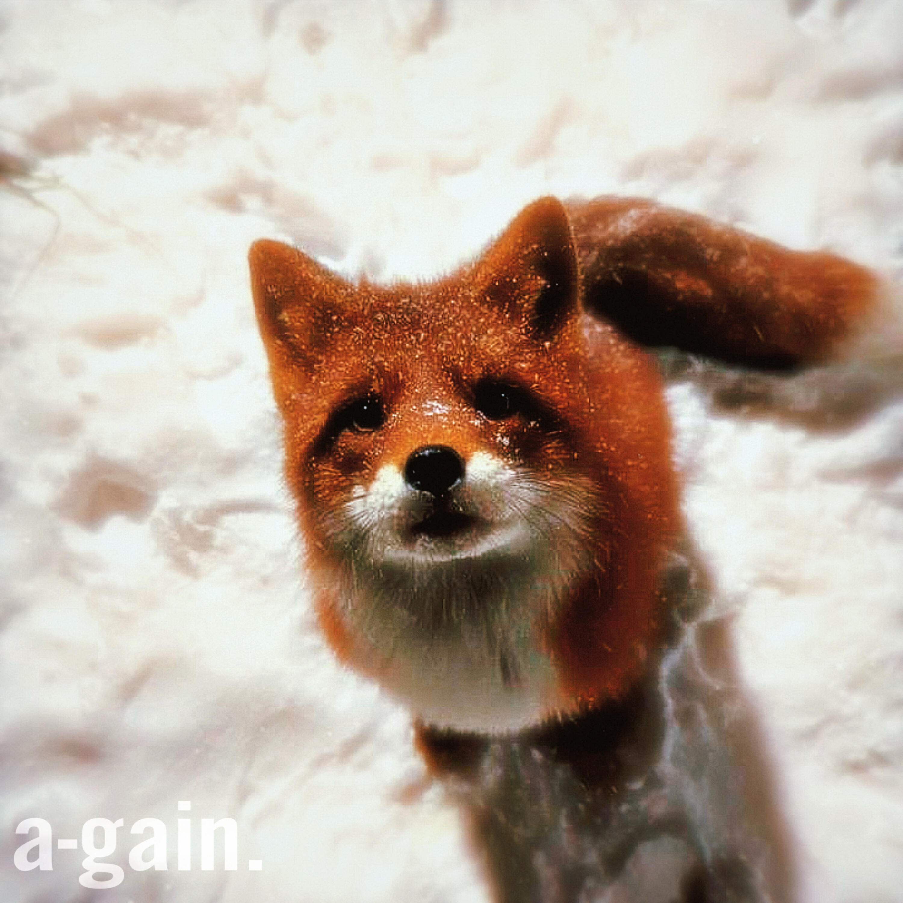 Релиз a-gain.