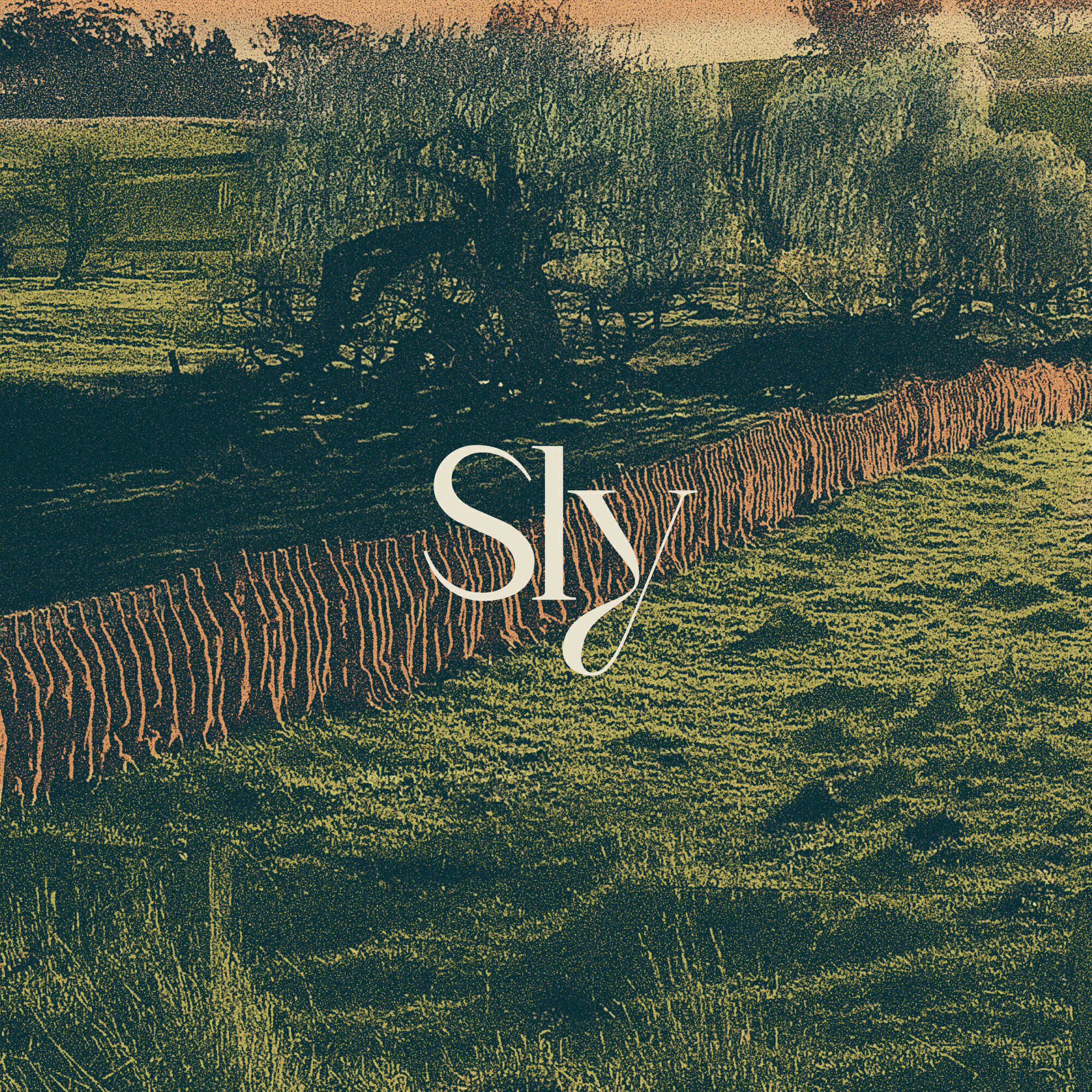 Релиз Sly