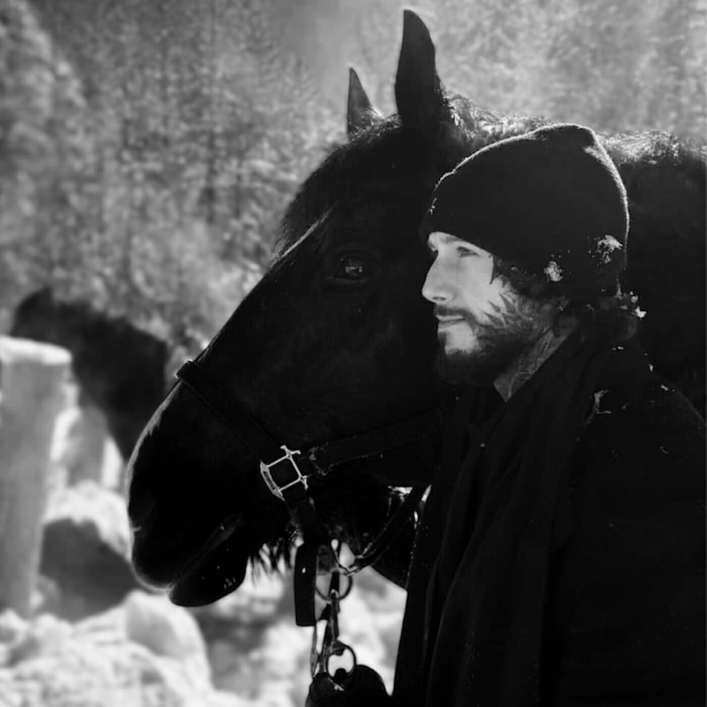 Релиз The Black Beauty