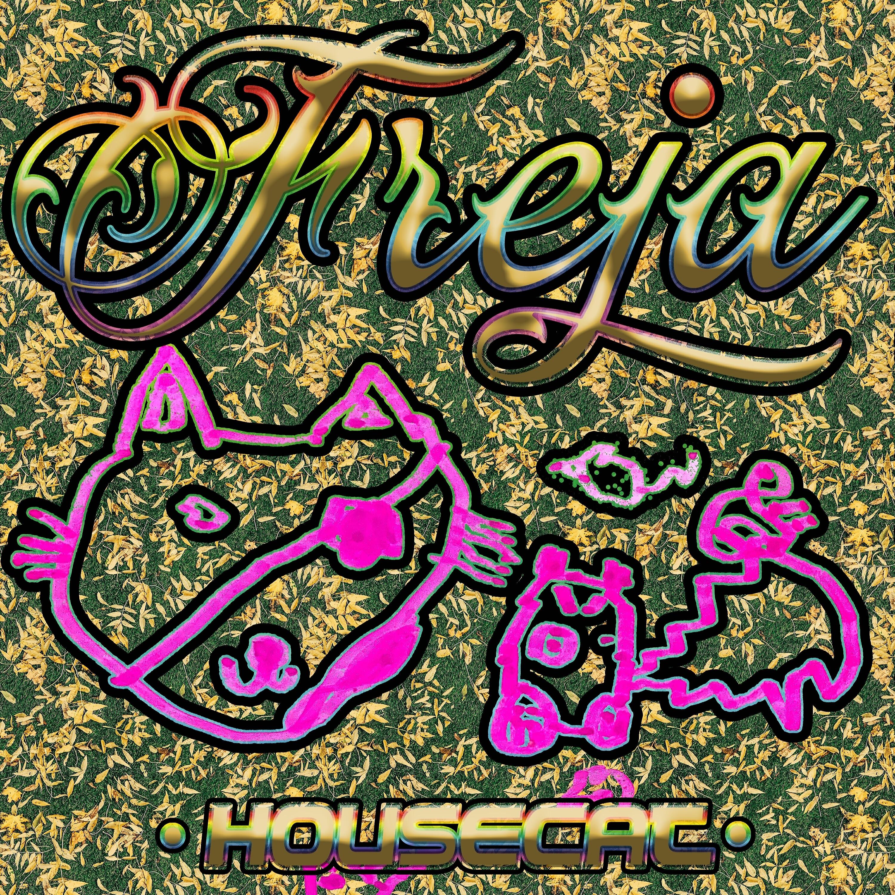 Релиз Housecat