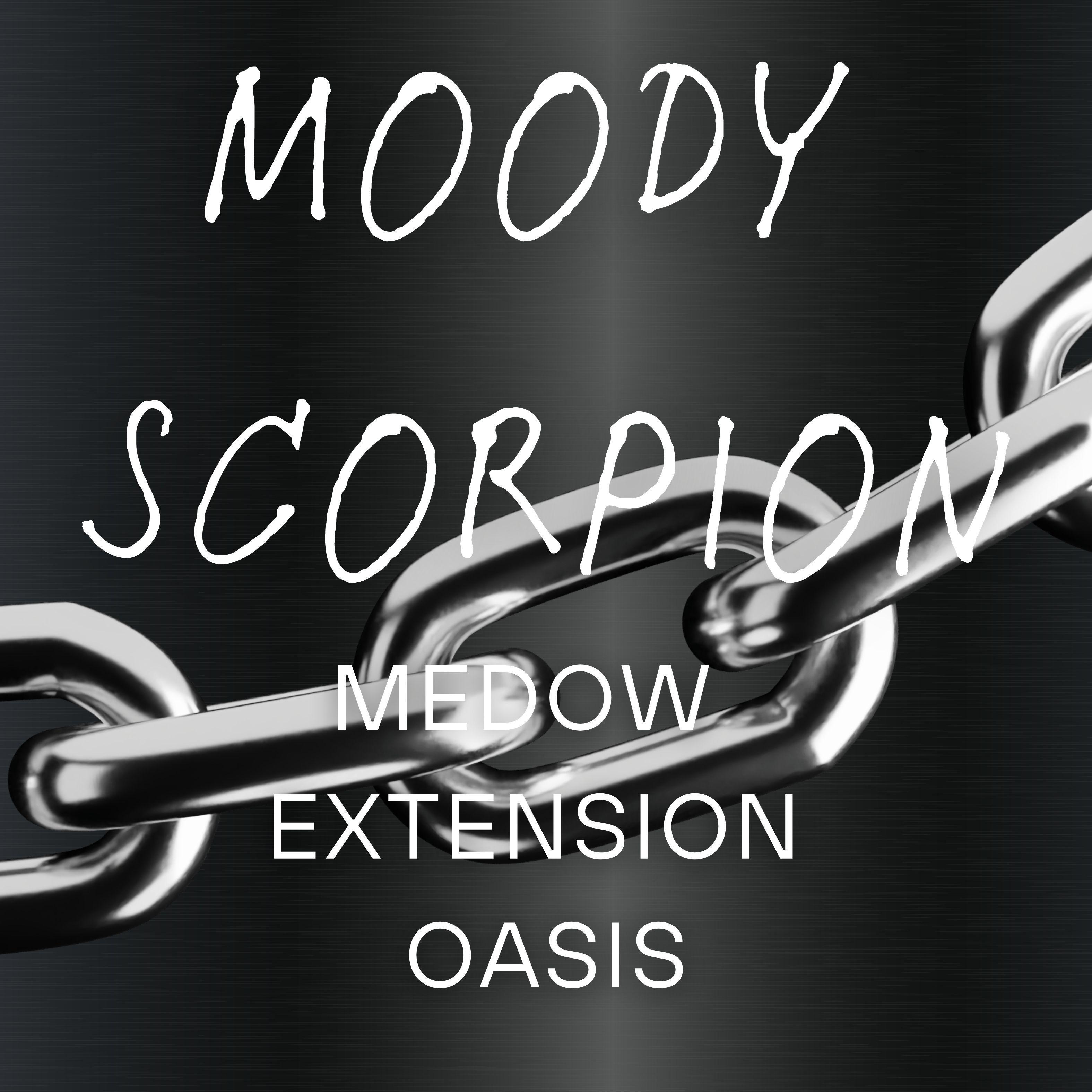 Релиз Meadow Extension Oasis