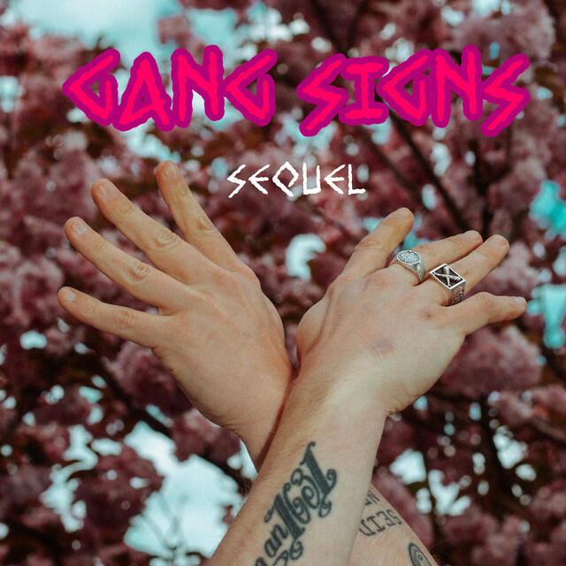 Релиз Sequel