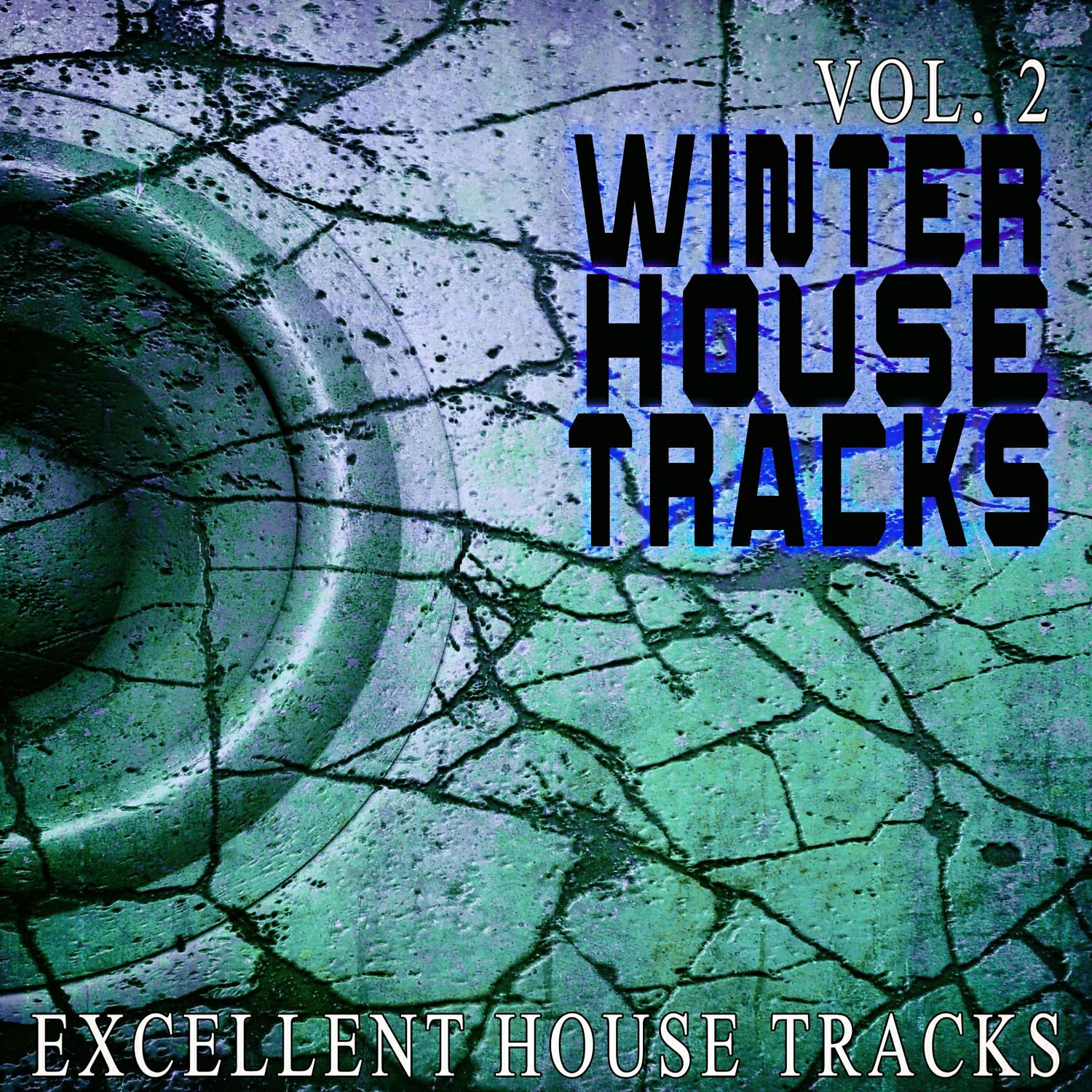 Постер альбома Winter House S, Vol. 2 - Excellent House