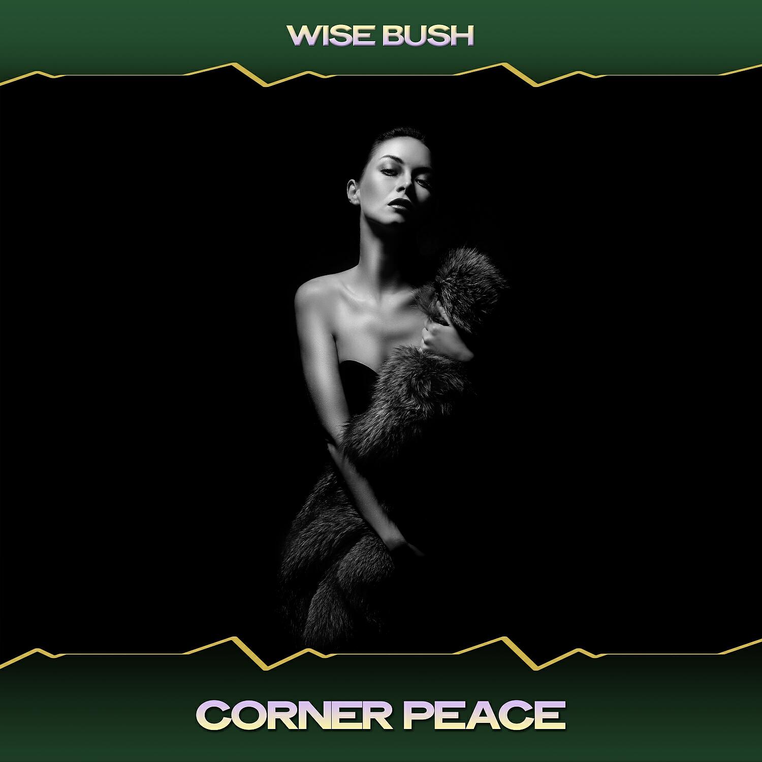 Релиз Corner Peace