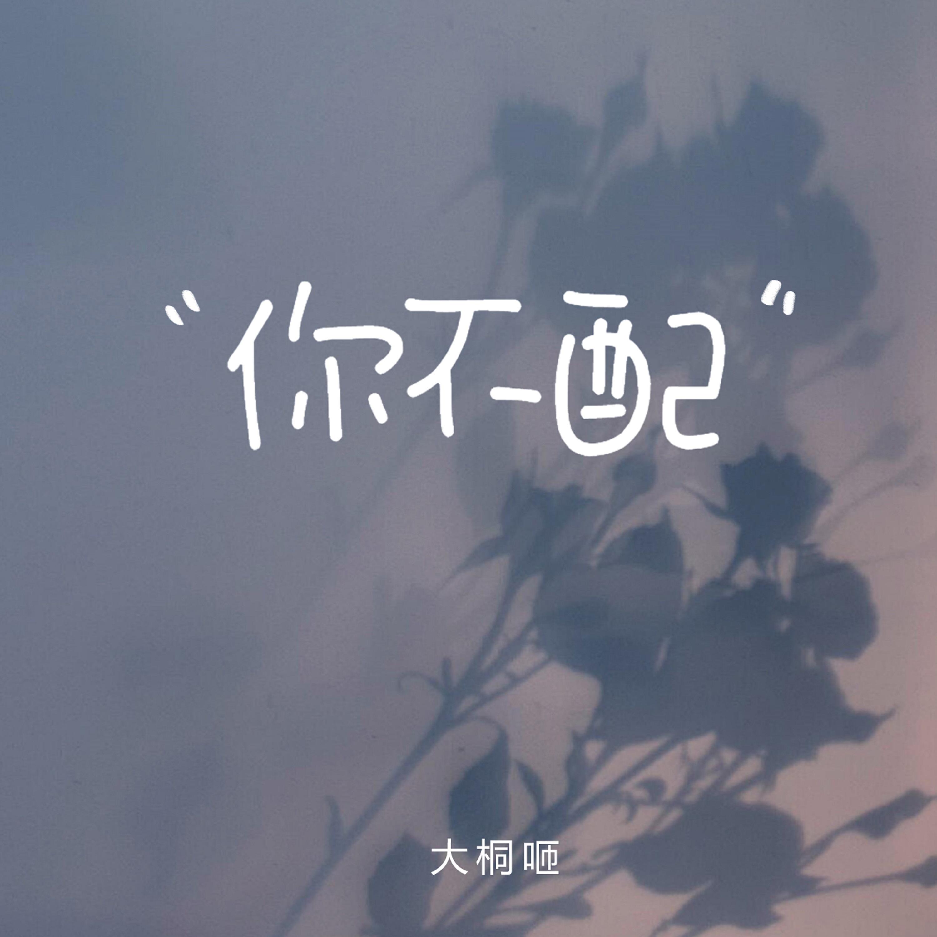 Релиз 你不配