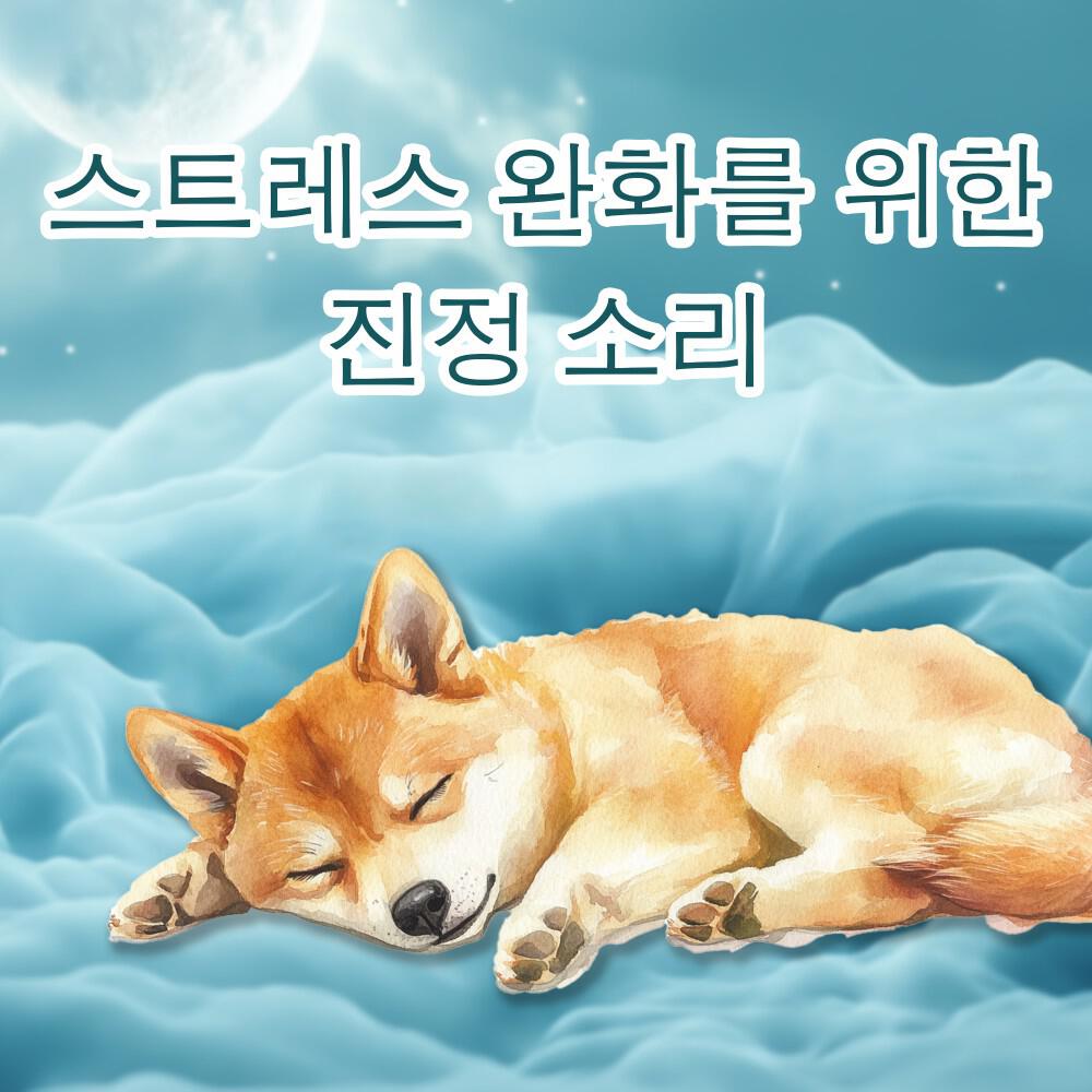 Релиз 불안한 개를 위한 화이트 노이즈와 심장 박동 소리 - 스트레스 완화를 위한 진정 소리
