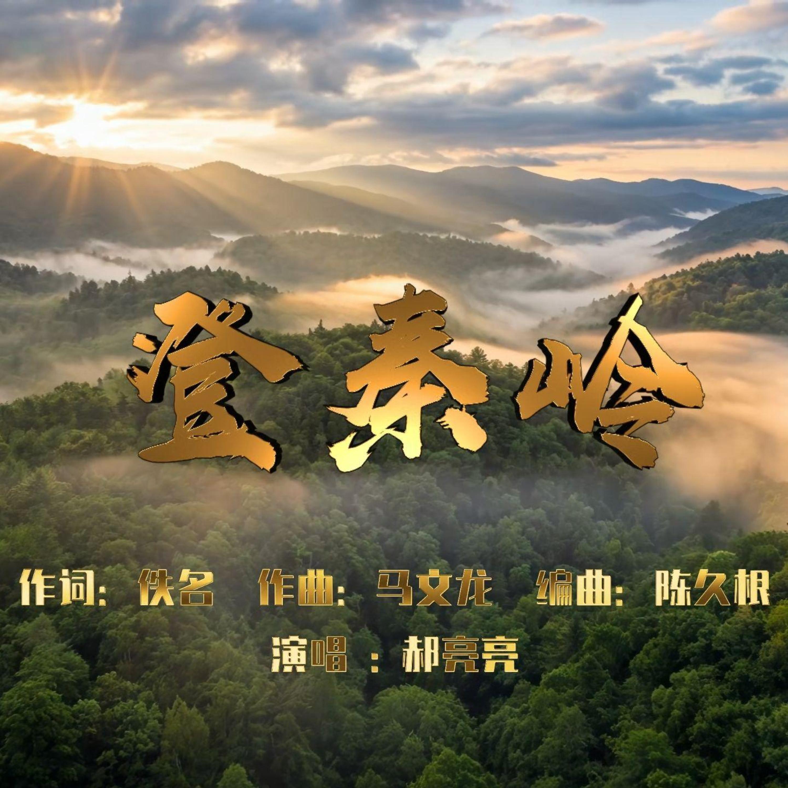 马文龙