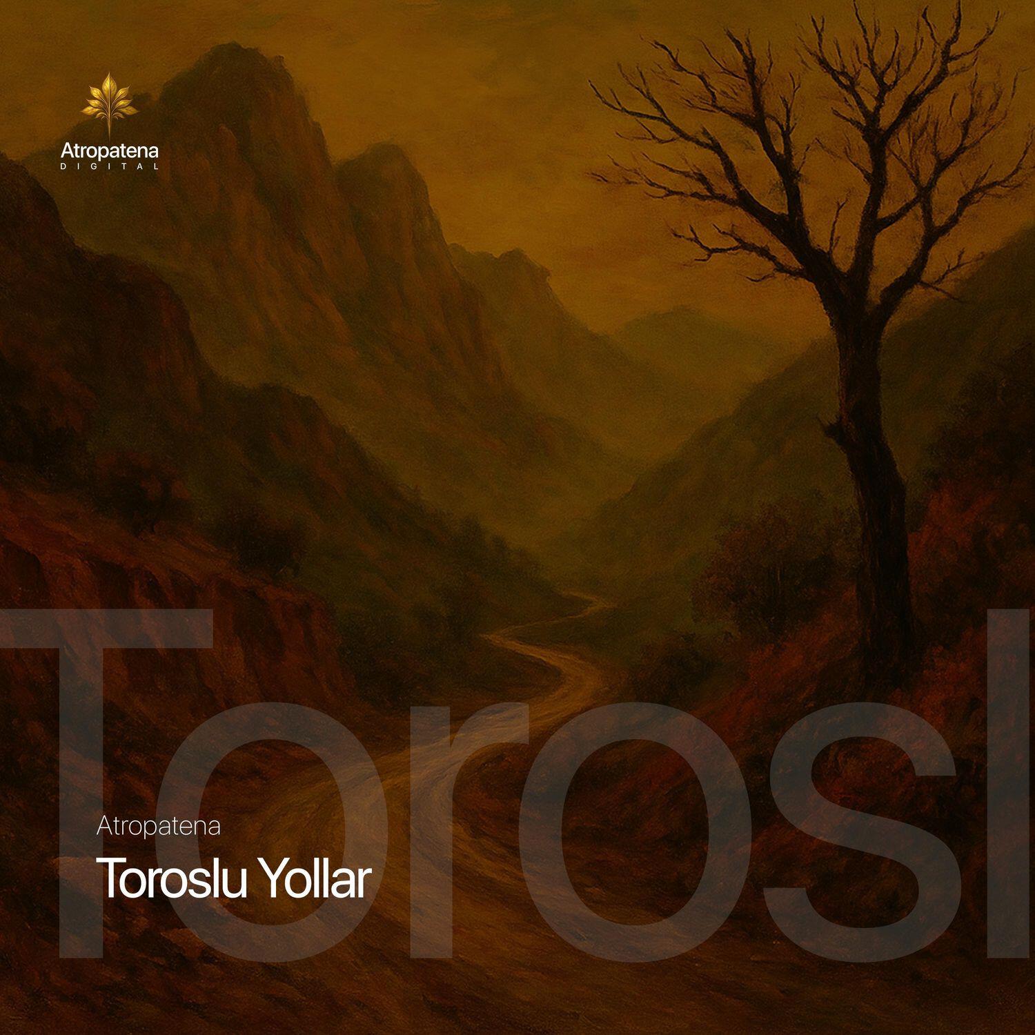 Релиз Toroslu Yollar (Rock Version)