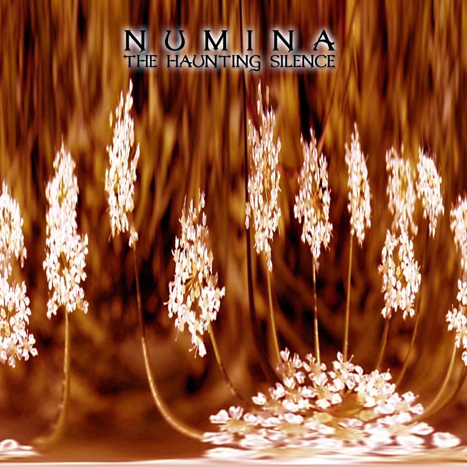 Релиз The Haunting Silence
