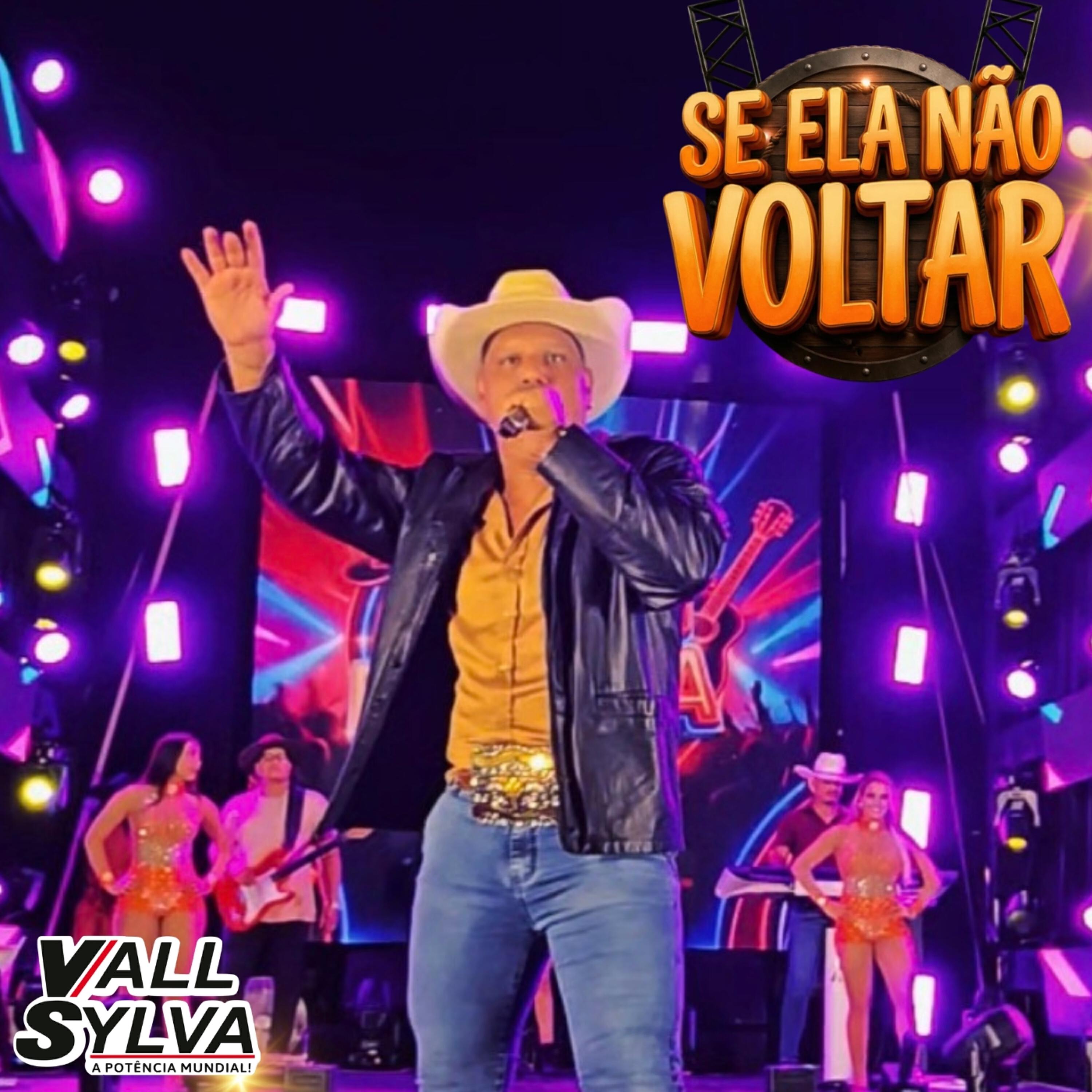 Релиз Se Ela Não Voltar