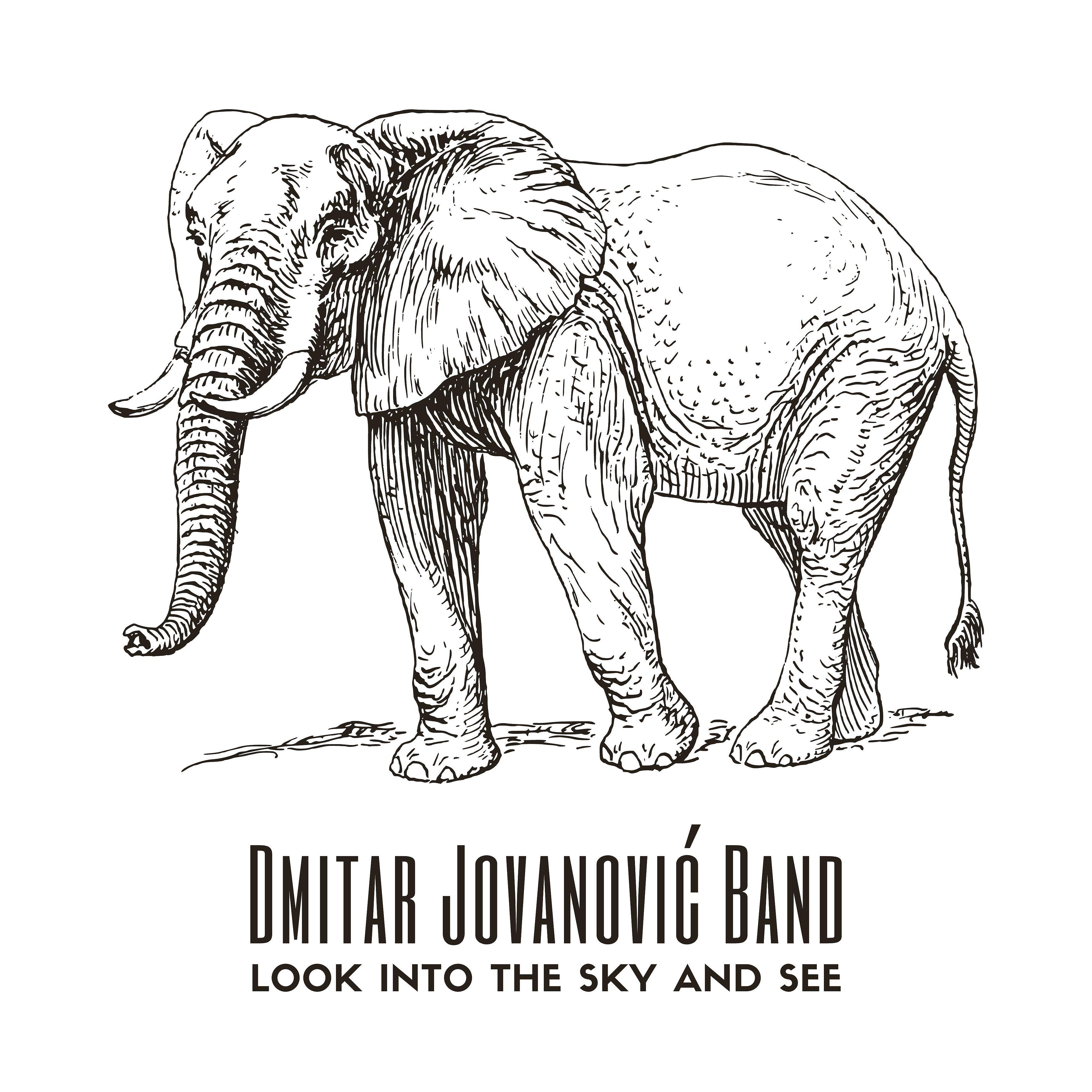 Релиз Look into the Sky and See