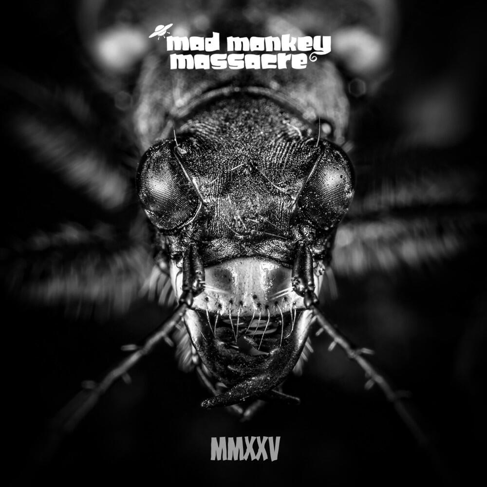Релиз MMXXV