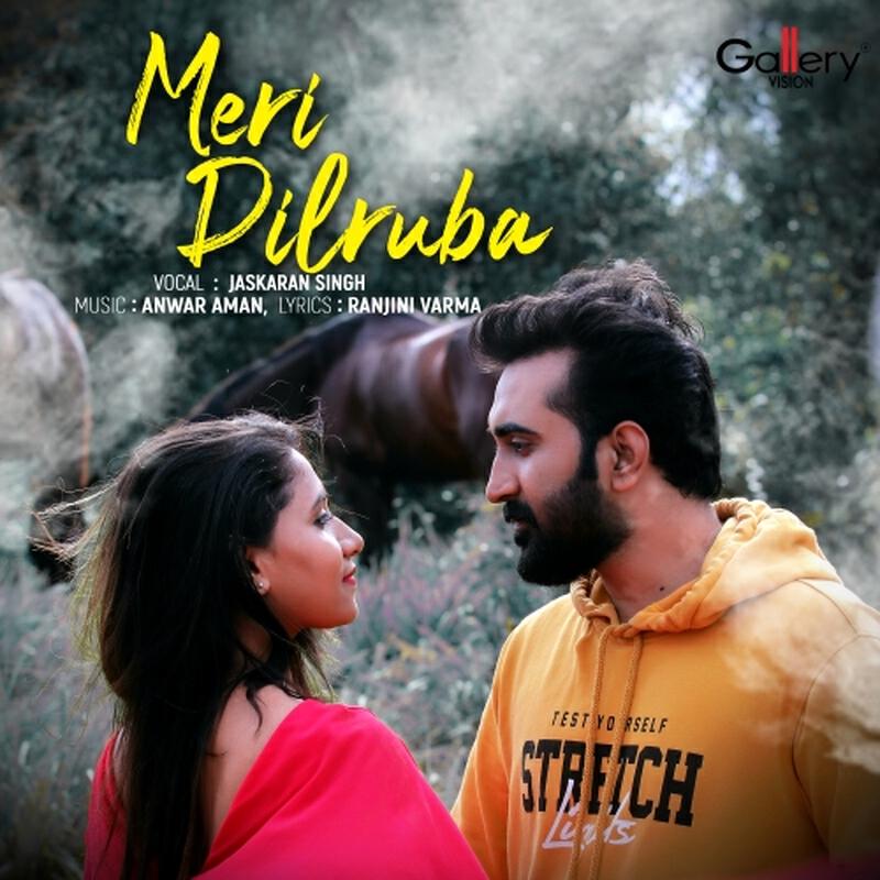Релиз Meri Dilruba