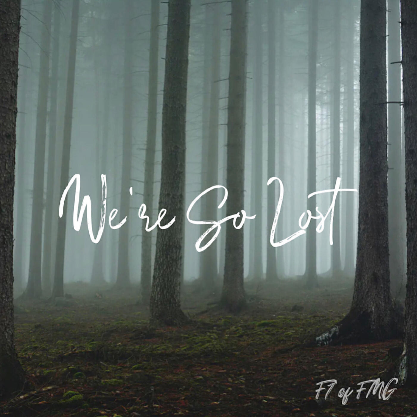 Релиз We're so Lost