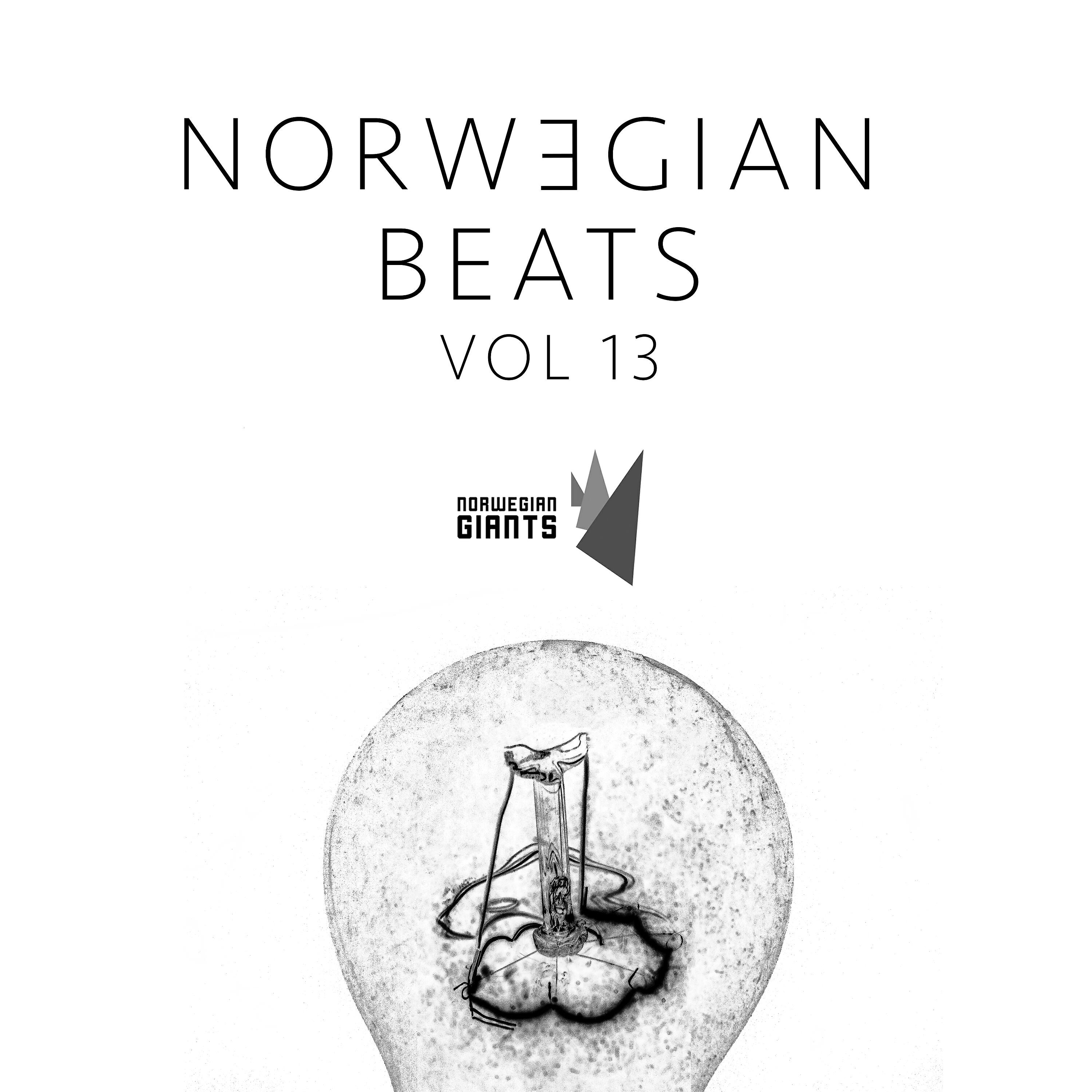 Релиз Norwegian Beats, Vol. 13