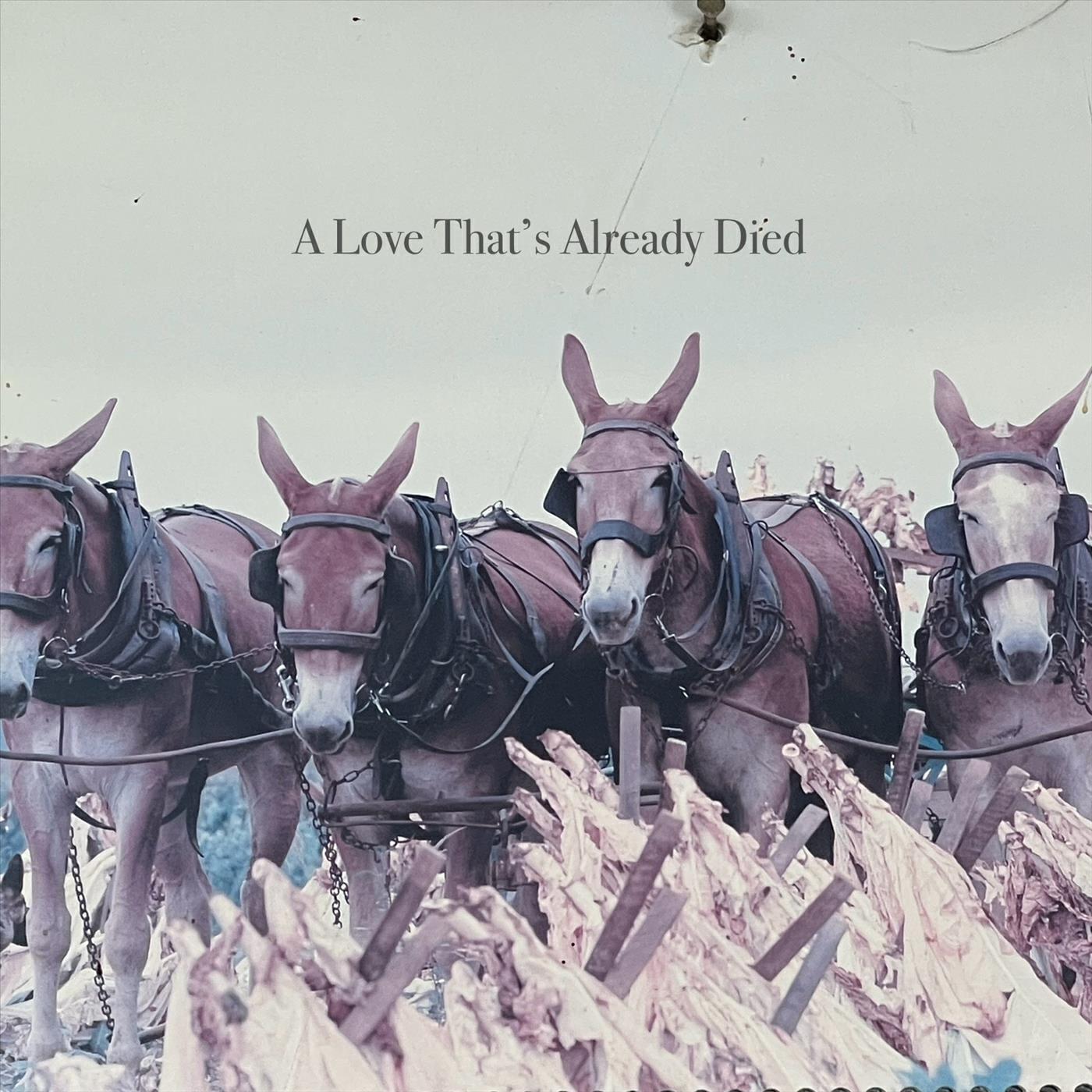 Релиз A Love That’s Already Died