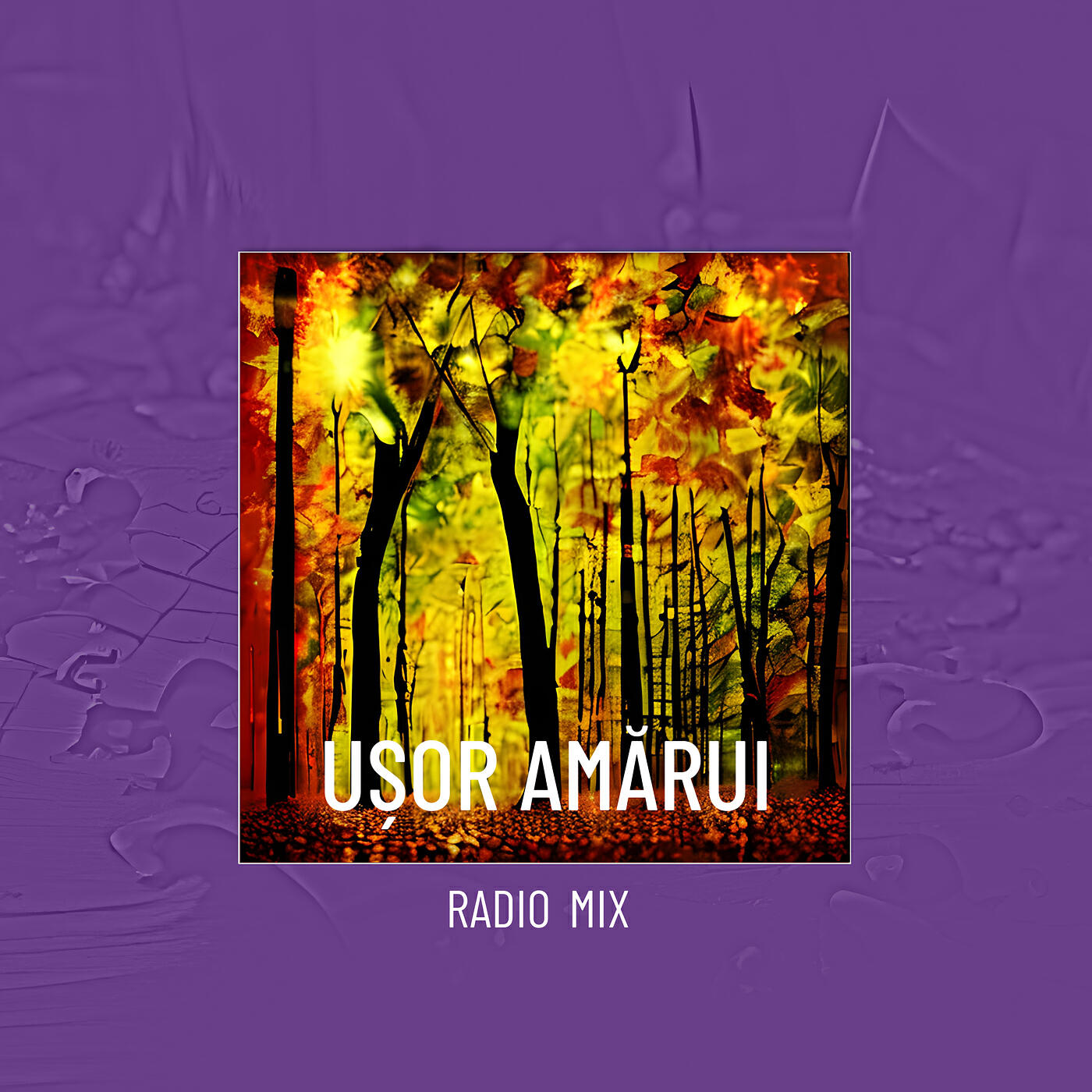 Релиз Ușor Amărui (Radio Mix)