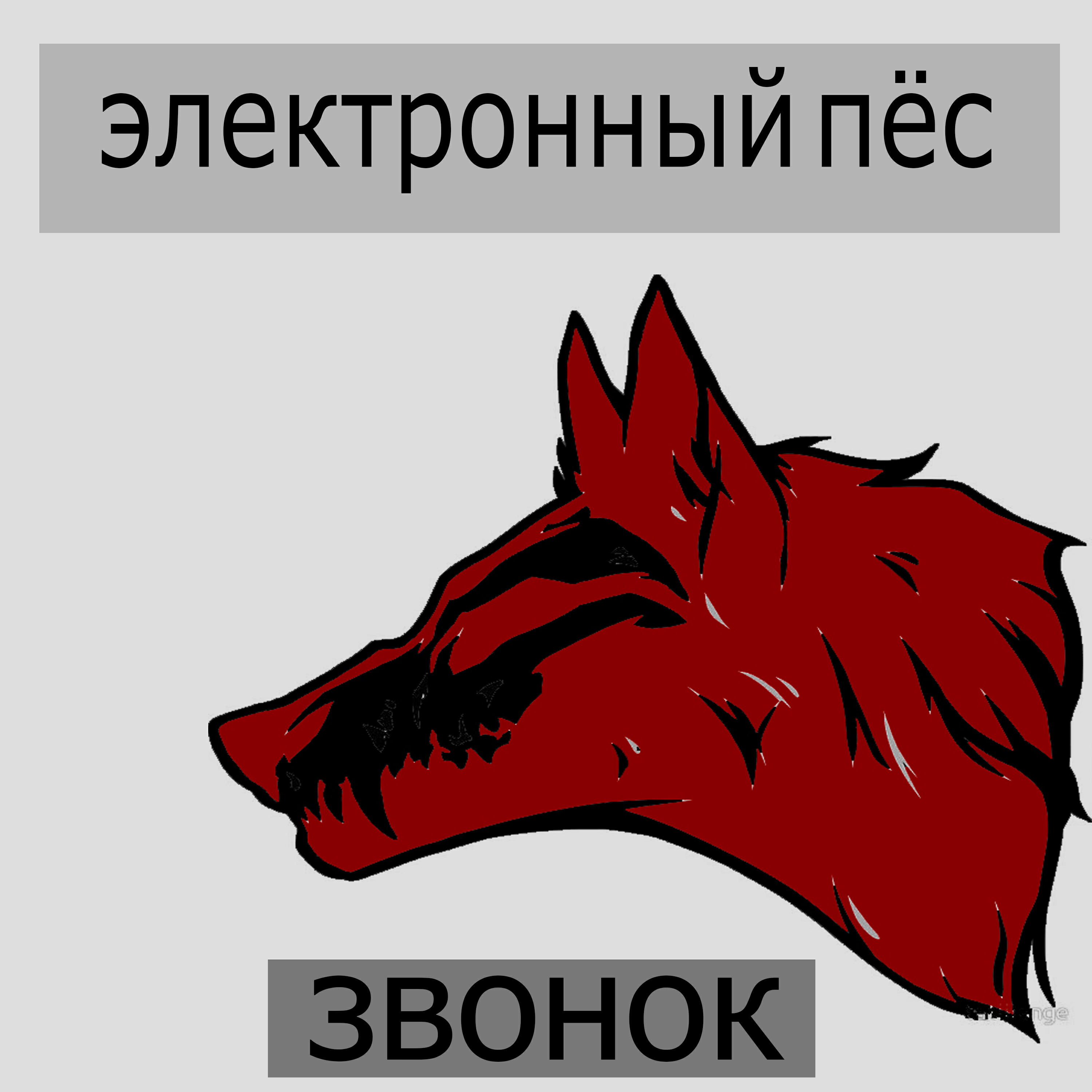 ЭЛЕКТРОННЫЙ ПЁС