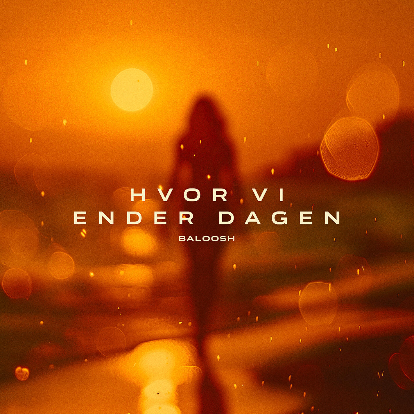 Релиз Hvor Vi Ender Dagen