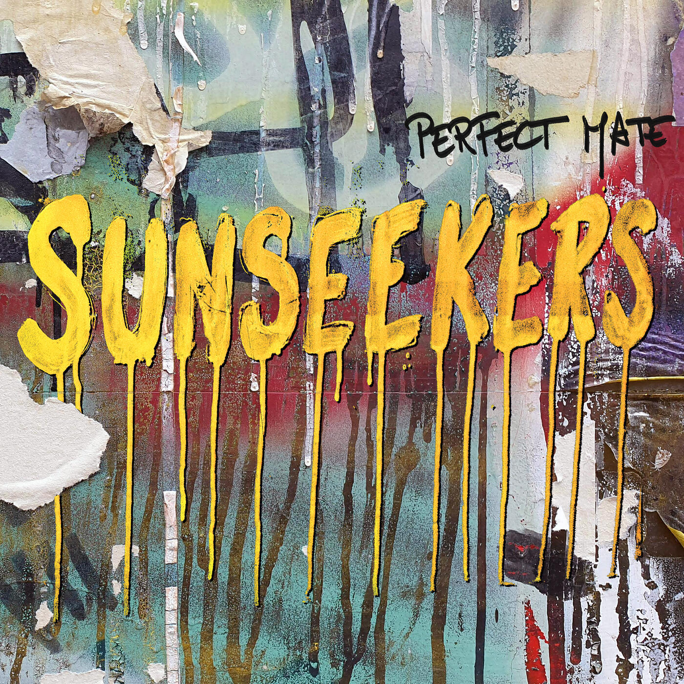 Релиз Perfect Mate