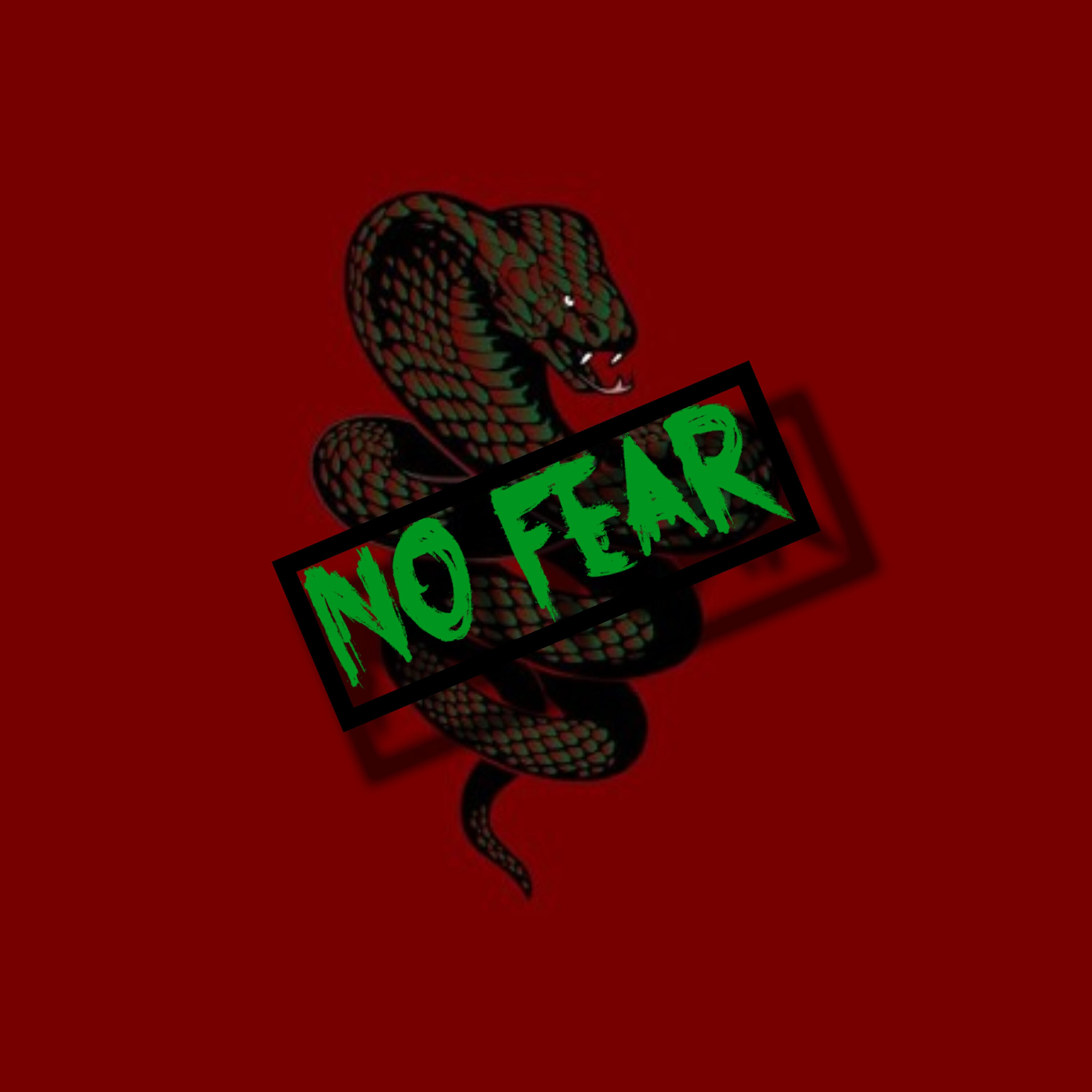 Релиз No Fear