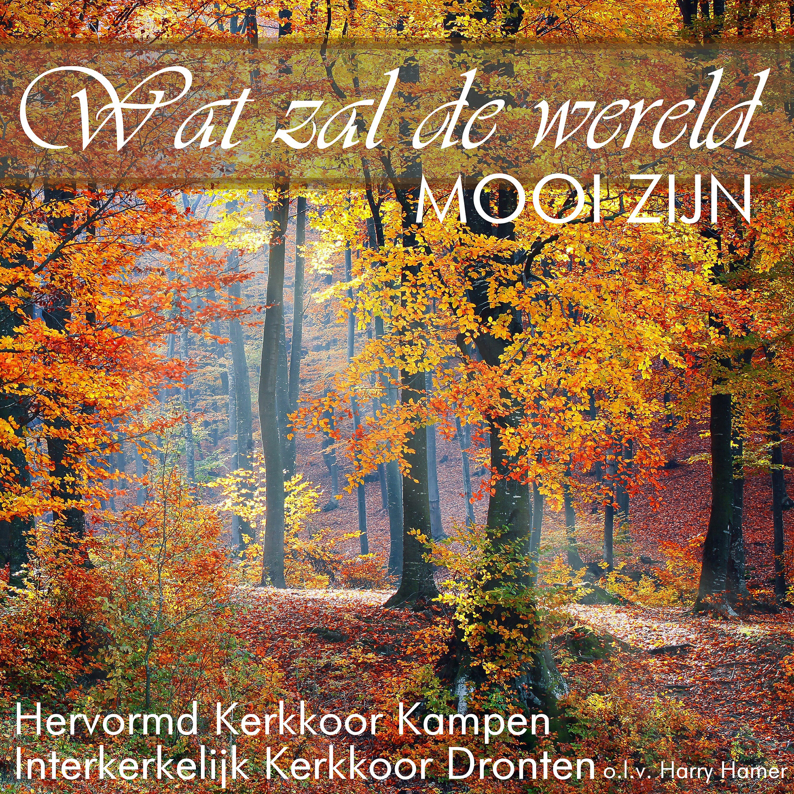 Релиз Wat zal de wereld mooi zijn