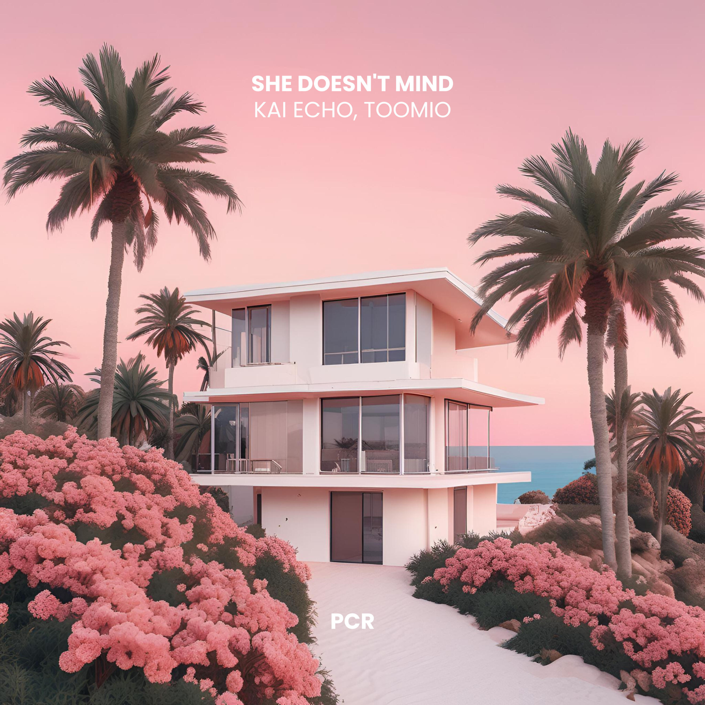 Релиз She Doesn't Mind (Toomio Remix)