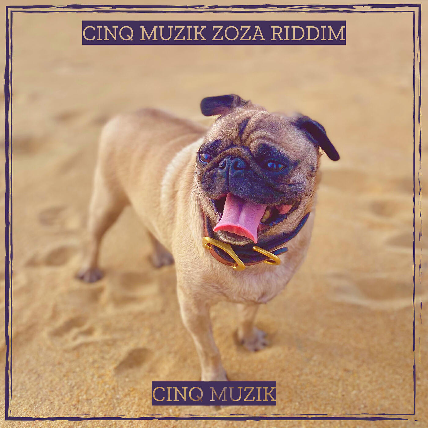 Релиз Cinq Muzik Zoza Riddim