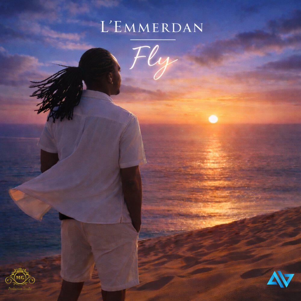 Релиз Fly