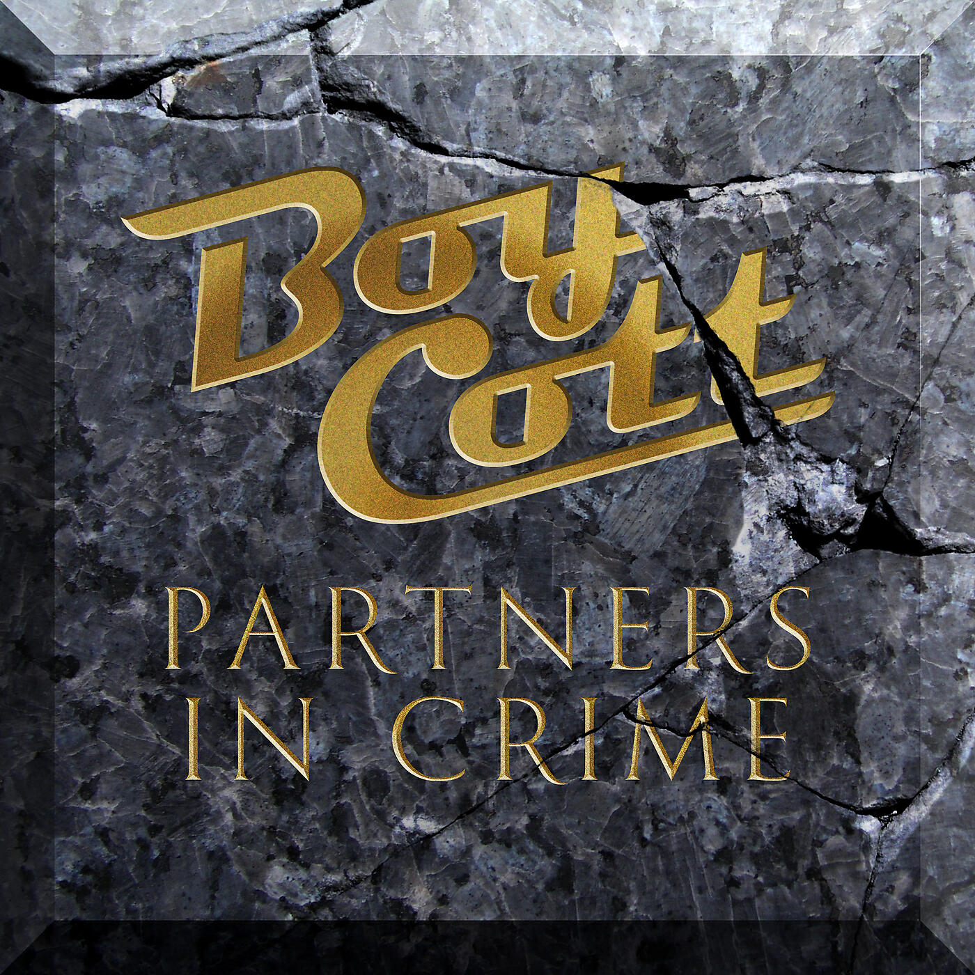 Релиз Partners in Crime